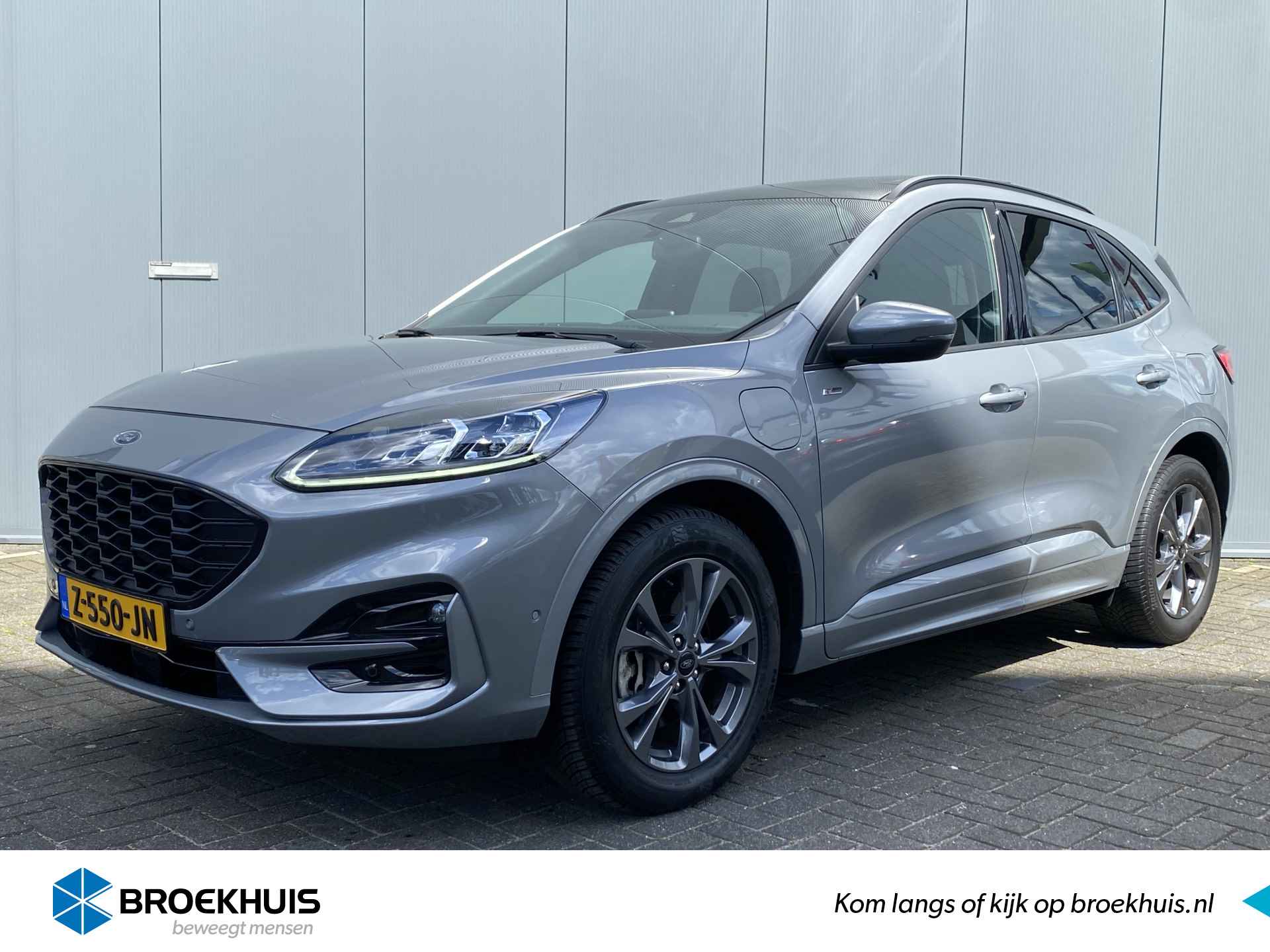 Ford Kuga BOVAG 40-Puntencheck