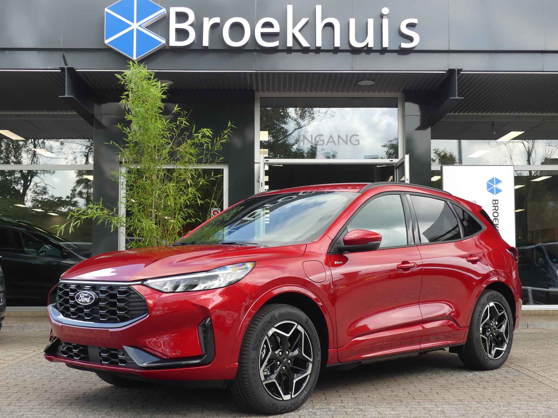 Ford Kuga BOVAG 40-Puntencheck