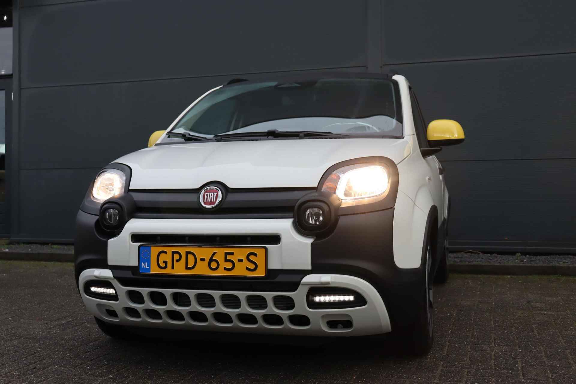 Fiat Panda 1.0 Hybrid Pandina / Carplay / PDC / Cruise control / - 25/30