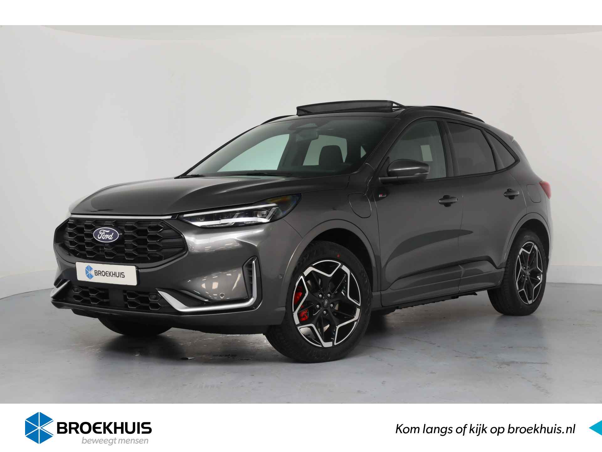 Ford Kuga BOVAG 40-Puntencheck