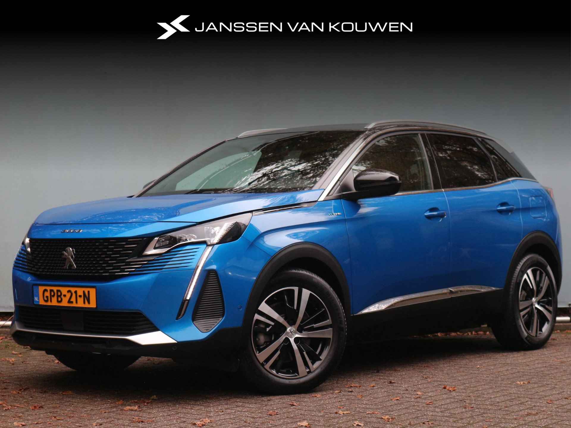 Peugeot 3008 BOVAG 40-Puntencheck