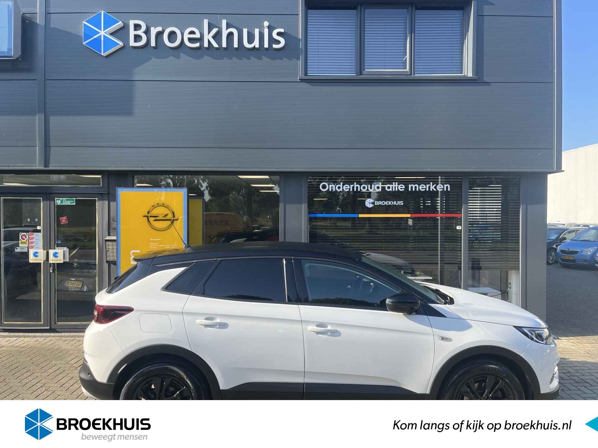 Opel Grandland X BOVAG 40-Puntencheck