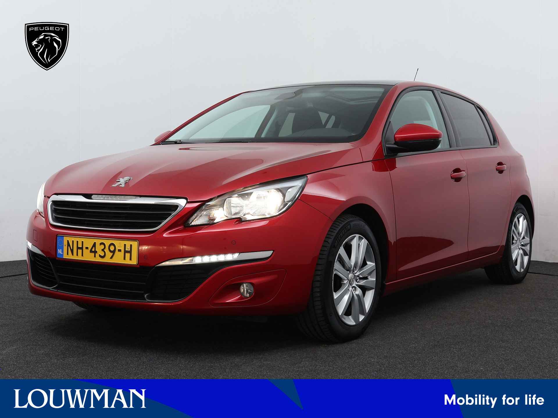 Peugeot 308 BOVAG 40-Puntencheck