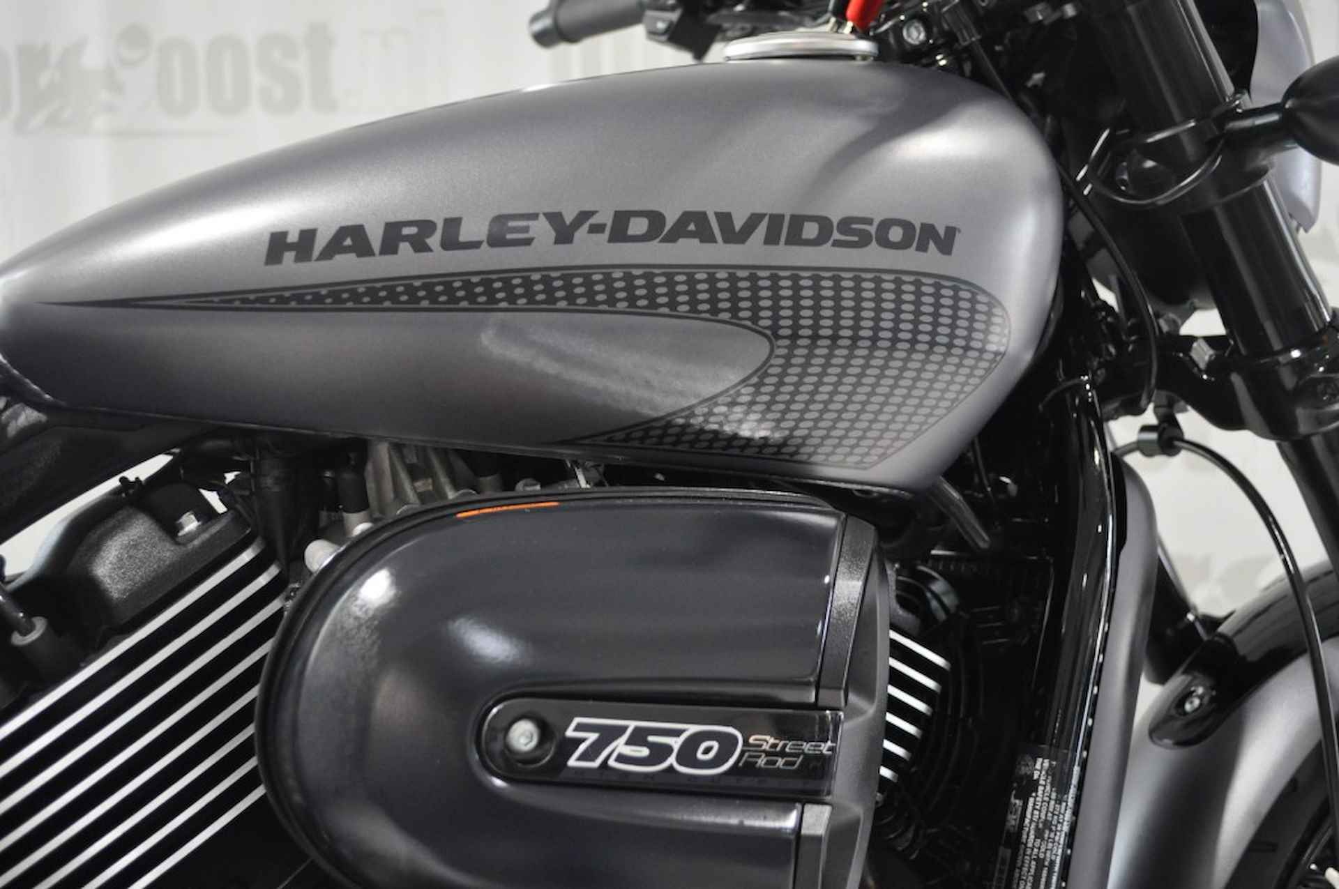 HARLEY-DAVIDSON Street Rod - 18/20