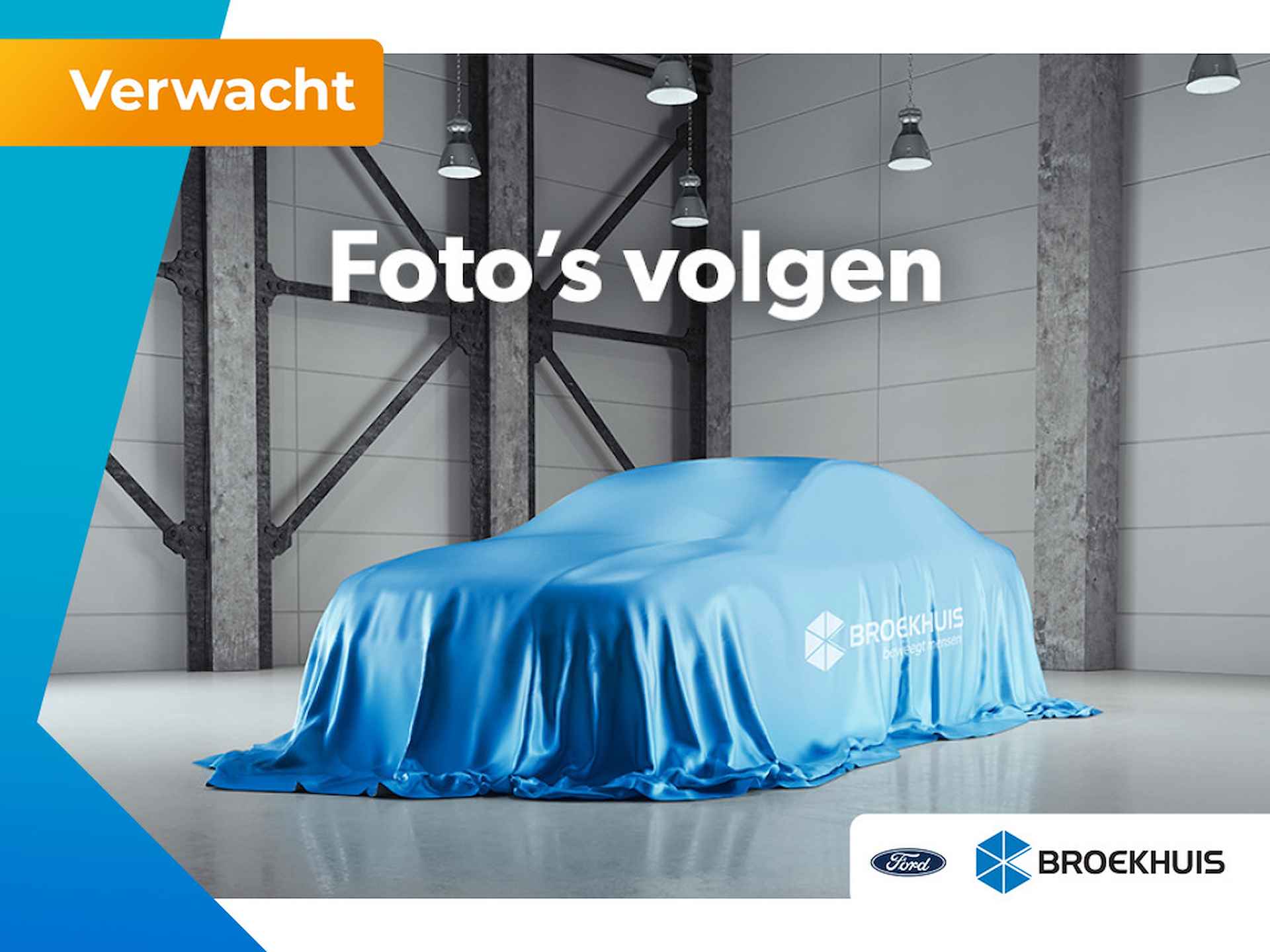 Ford Focus BOVAG 40-Puntencheck