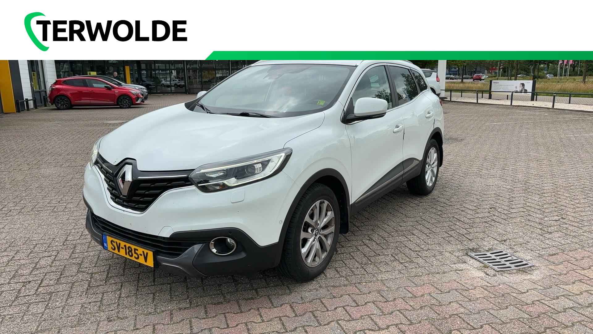 Renault Kadjar BOVAG 40-Puntencheck