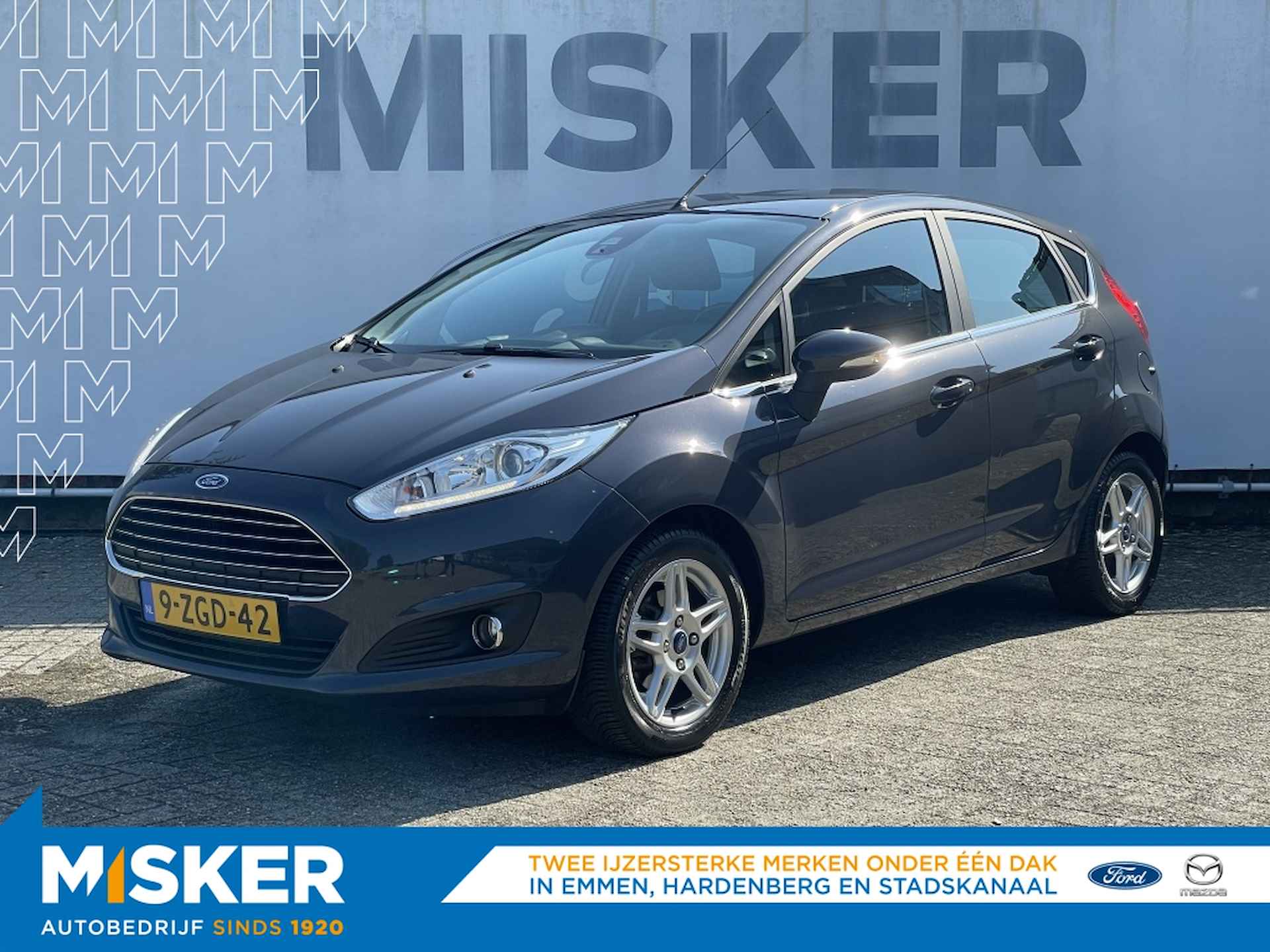 Ford Fiesta BOVAG 40-Puntencheck