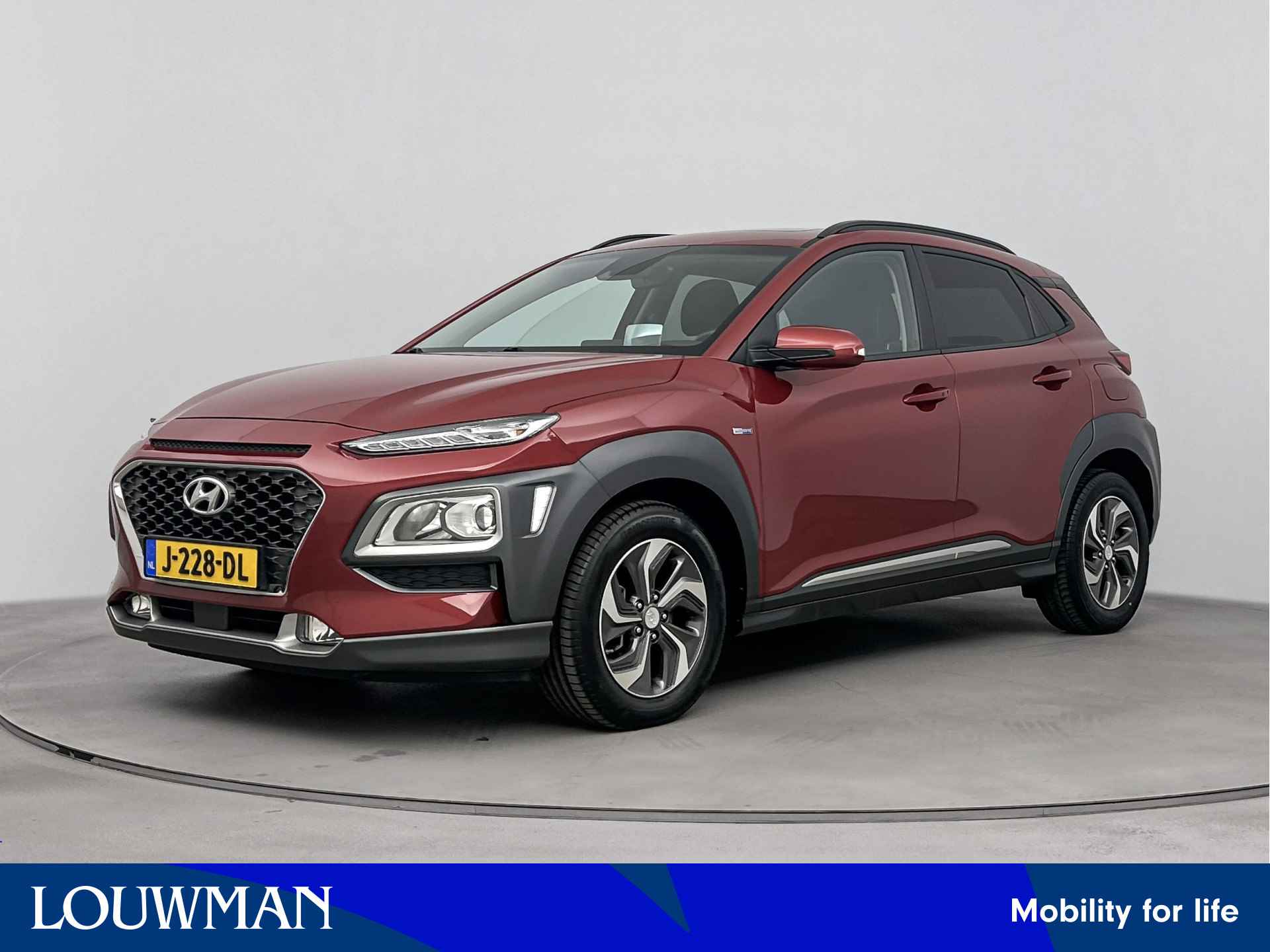 Hyundai Kona BOVAG 40-Puntencheck