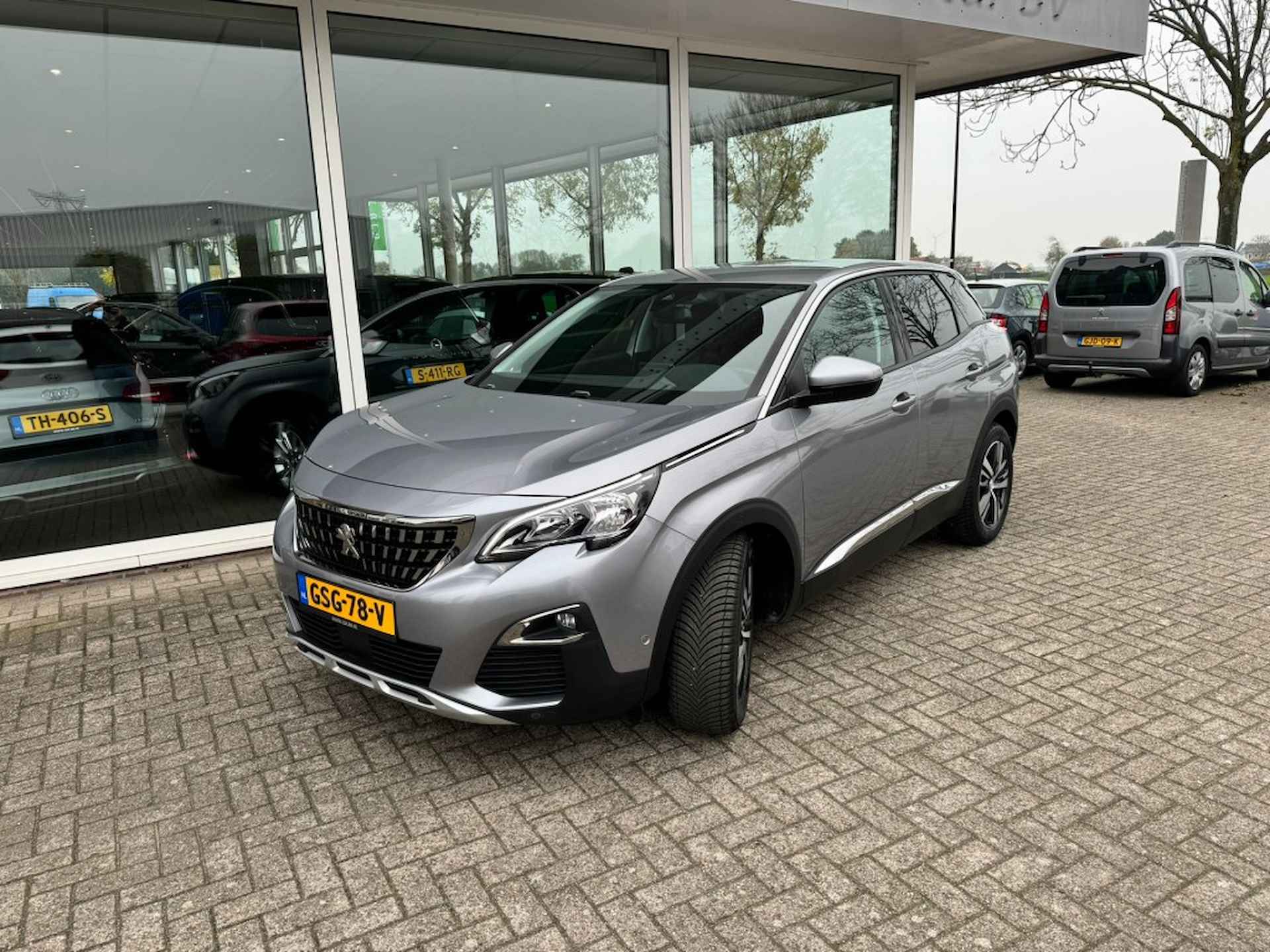 Peugeot 3008 BOVAG 40-Puntencheck