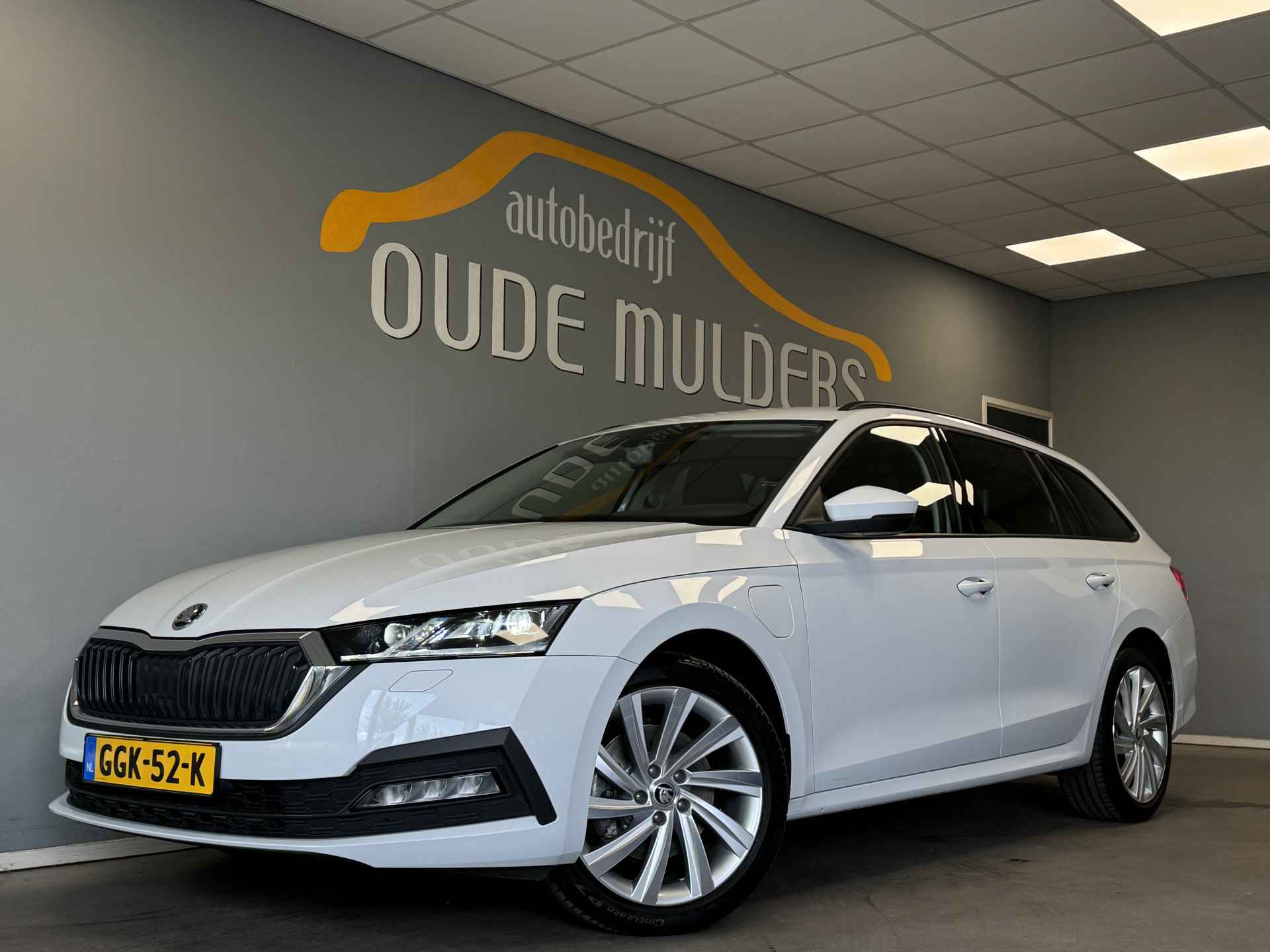 Škoda Octavia BOVAG 40-Puntencheck