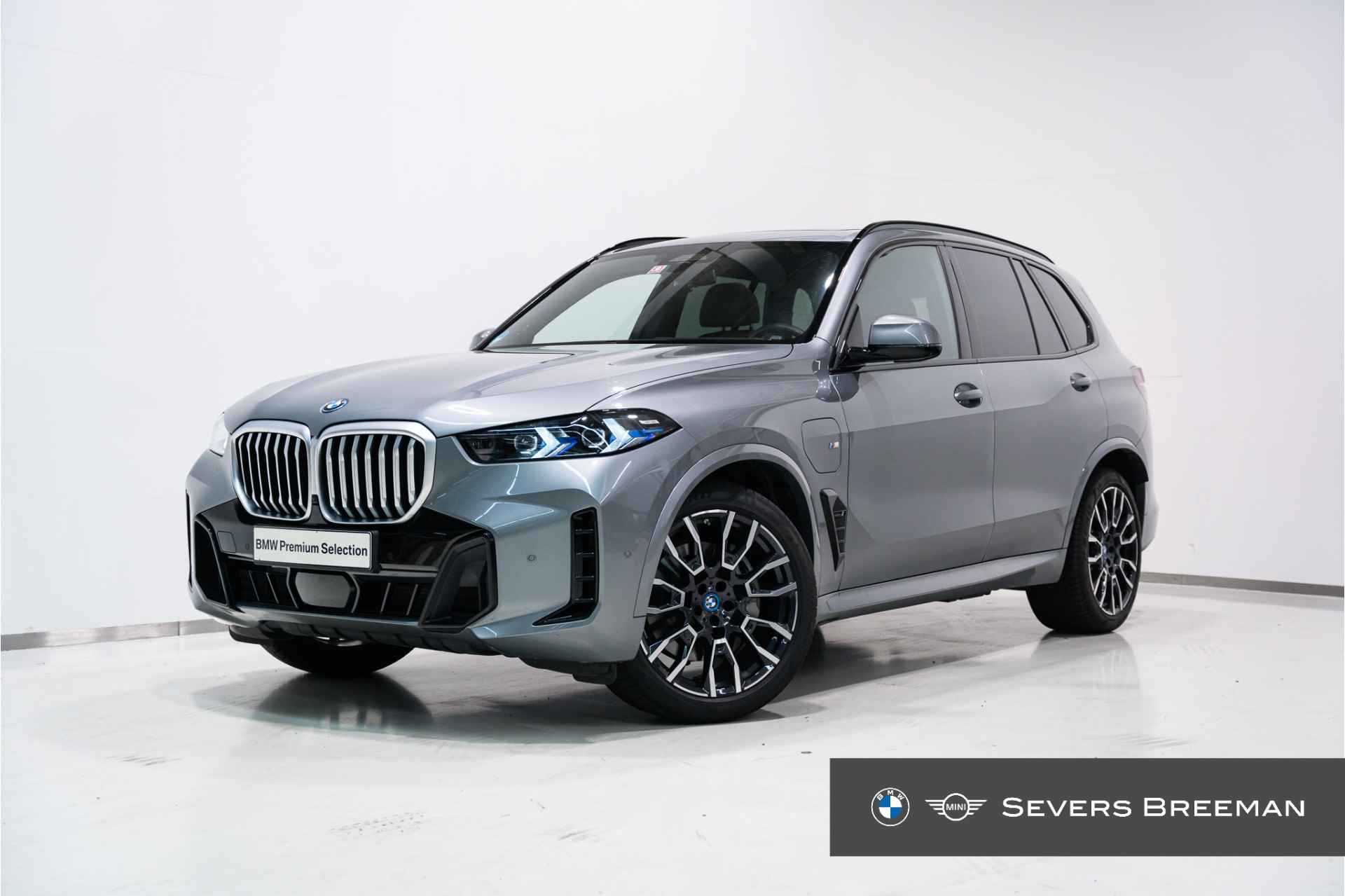 BMW X5 BOVAG 40-Puntencheck