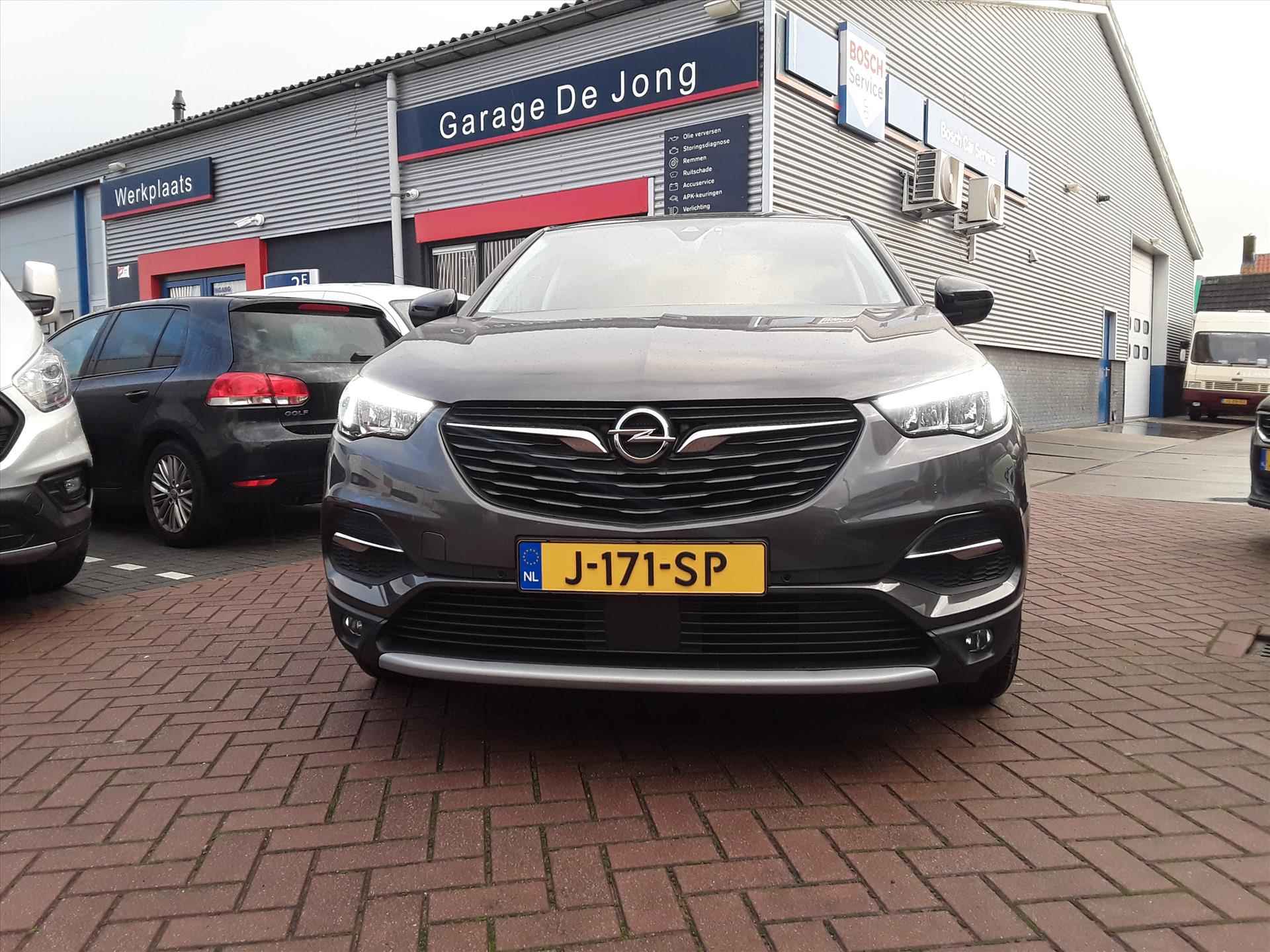 Opel Grandland X BOVAG 40-Puntencheck