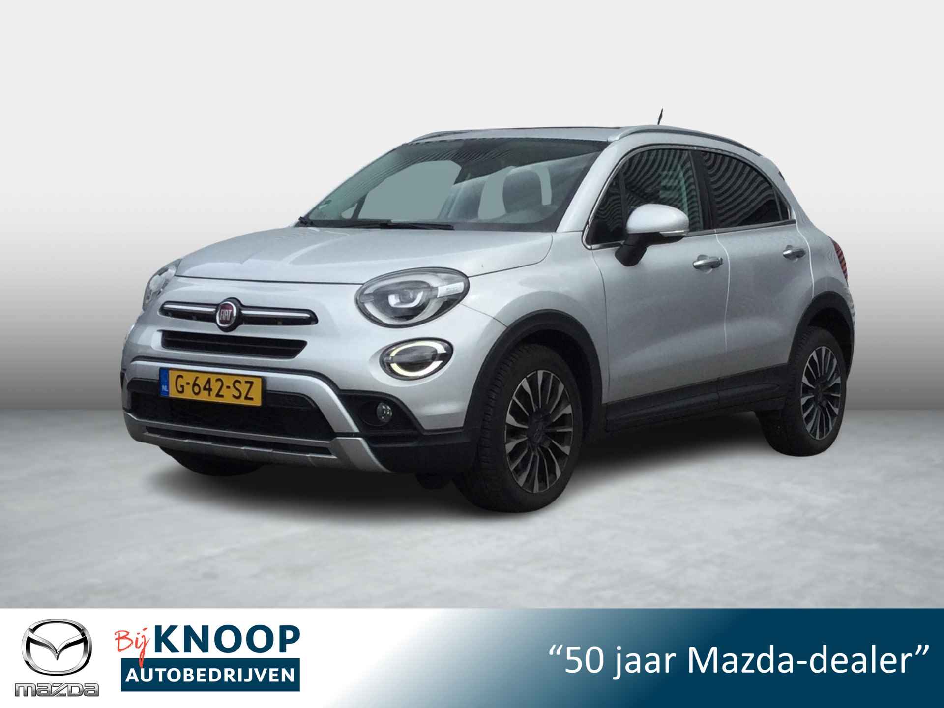 Fiat 500X BOVAG 40-Puntencheck