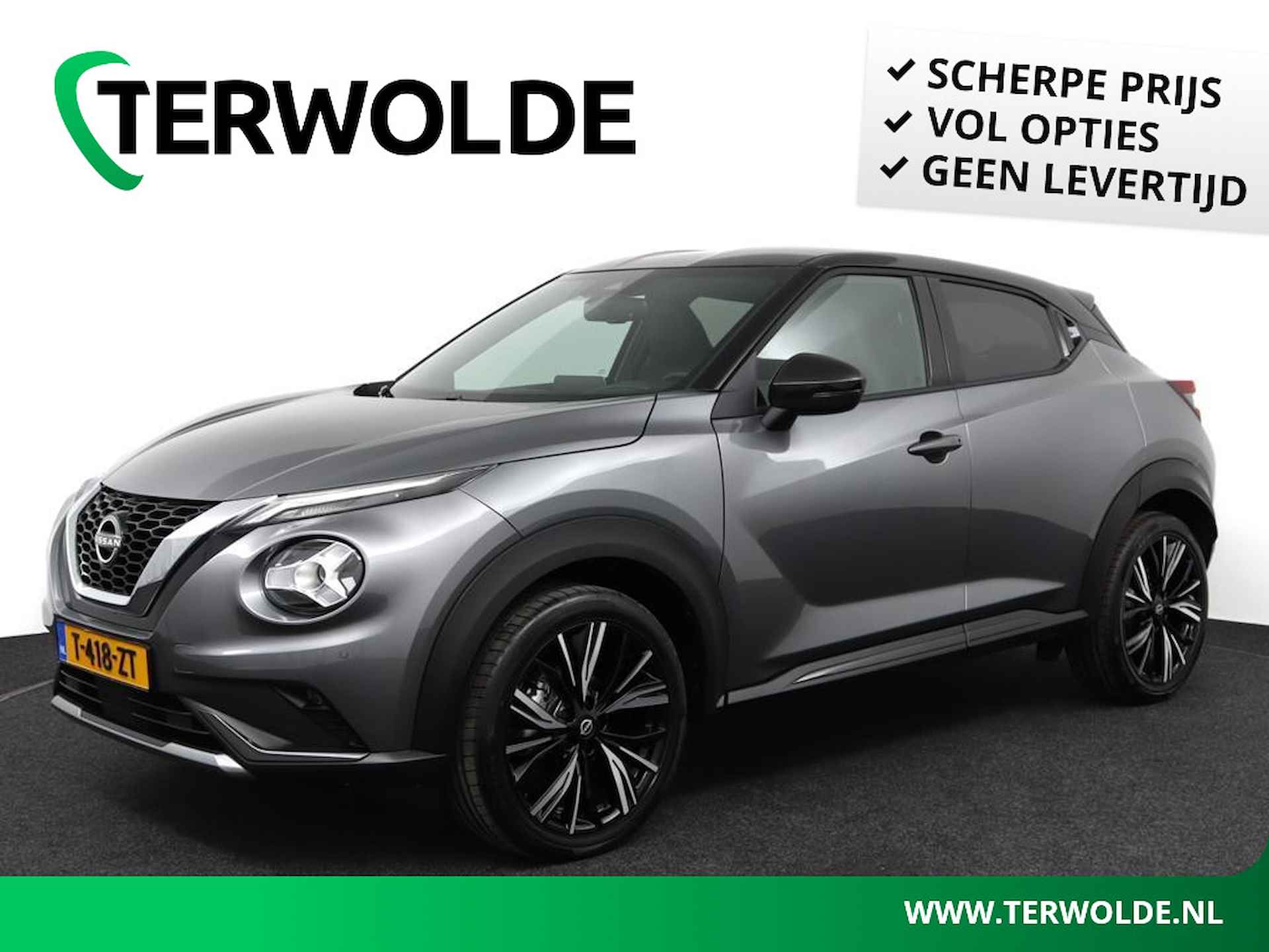 Nissan Juke BOVAG 40-Puntencheck