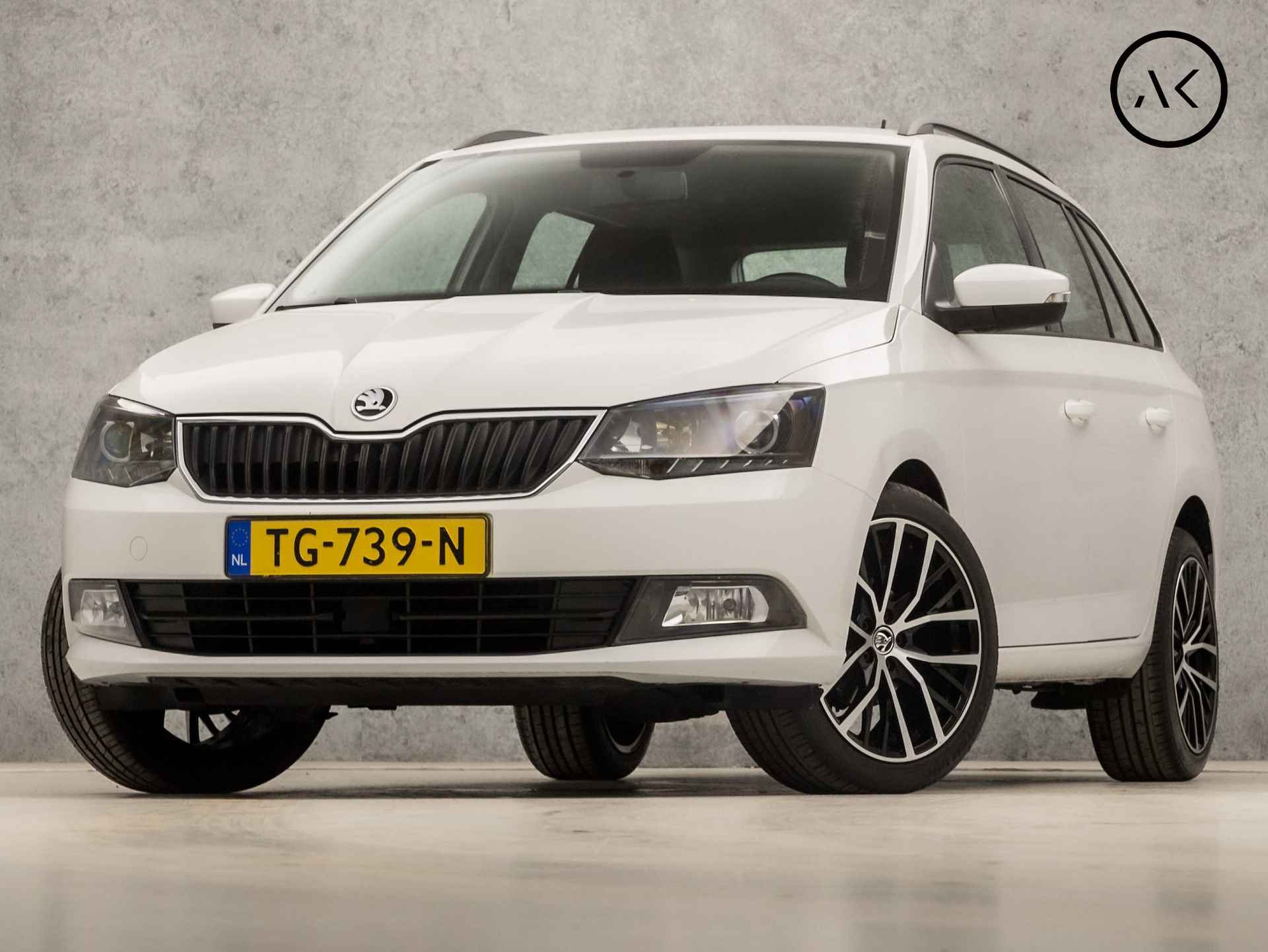 Škoda Fabia BOVAG 40-Puntencheck