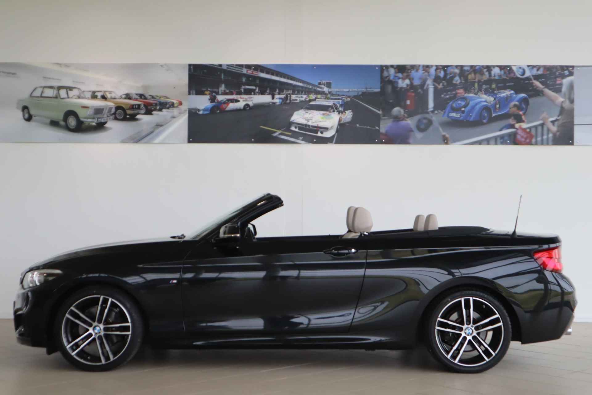 BMW 2 Serie Cabrio 220i High Executive | M-Sportpakket | Audio Media Pack | Parcking Pack - 6/23