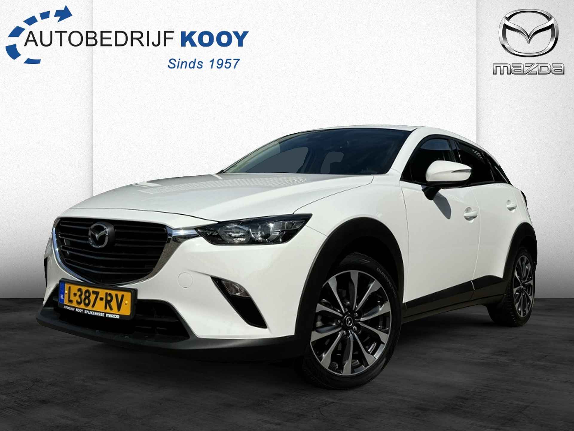 Mazda CX-3 BOVAG 40-Puntencheck