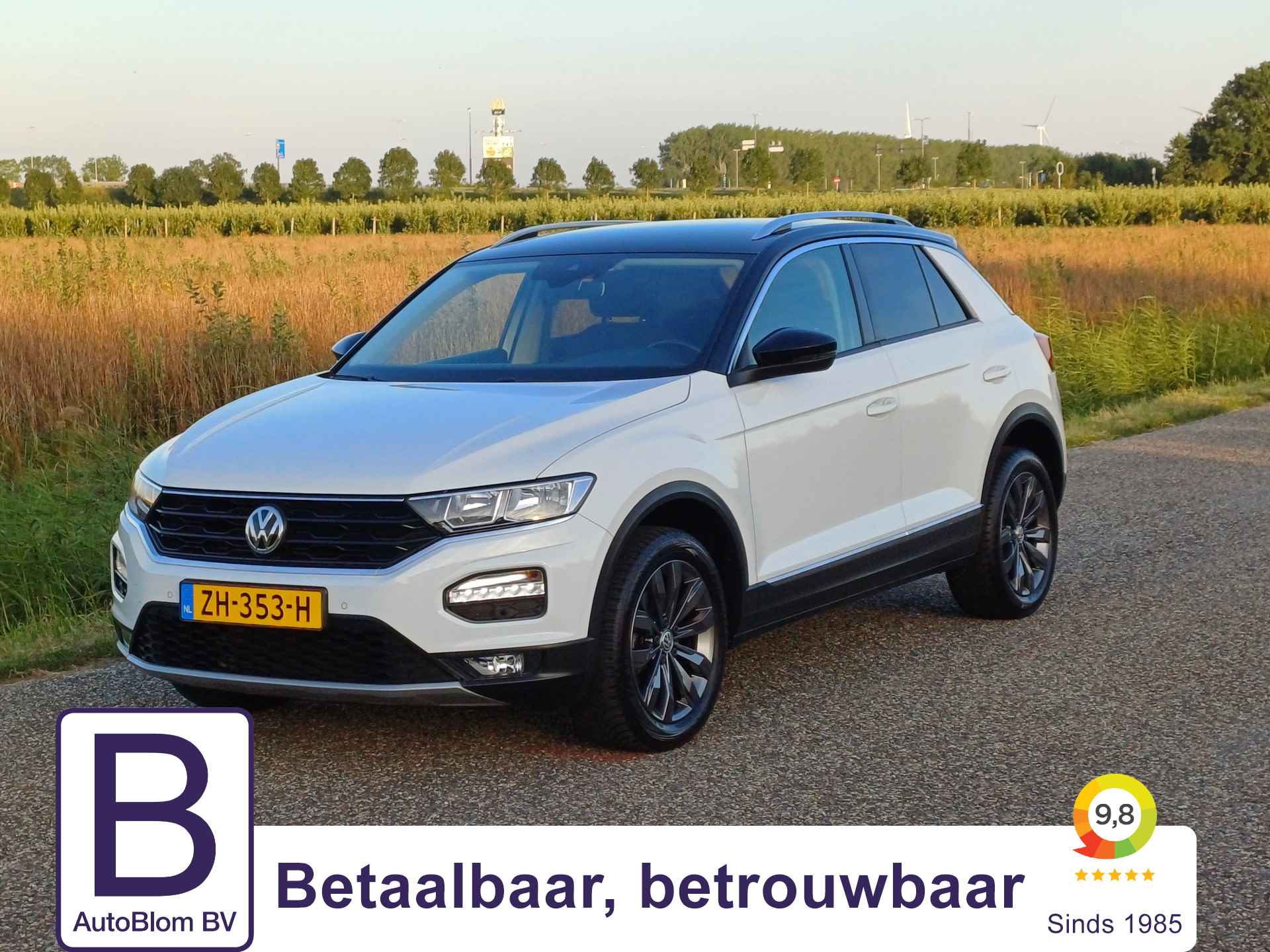 Volkswagen T-Roc BOVAG 40-Puntencheck