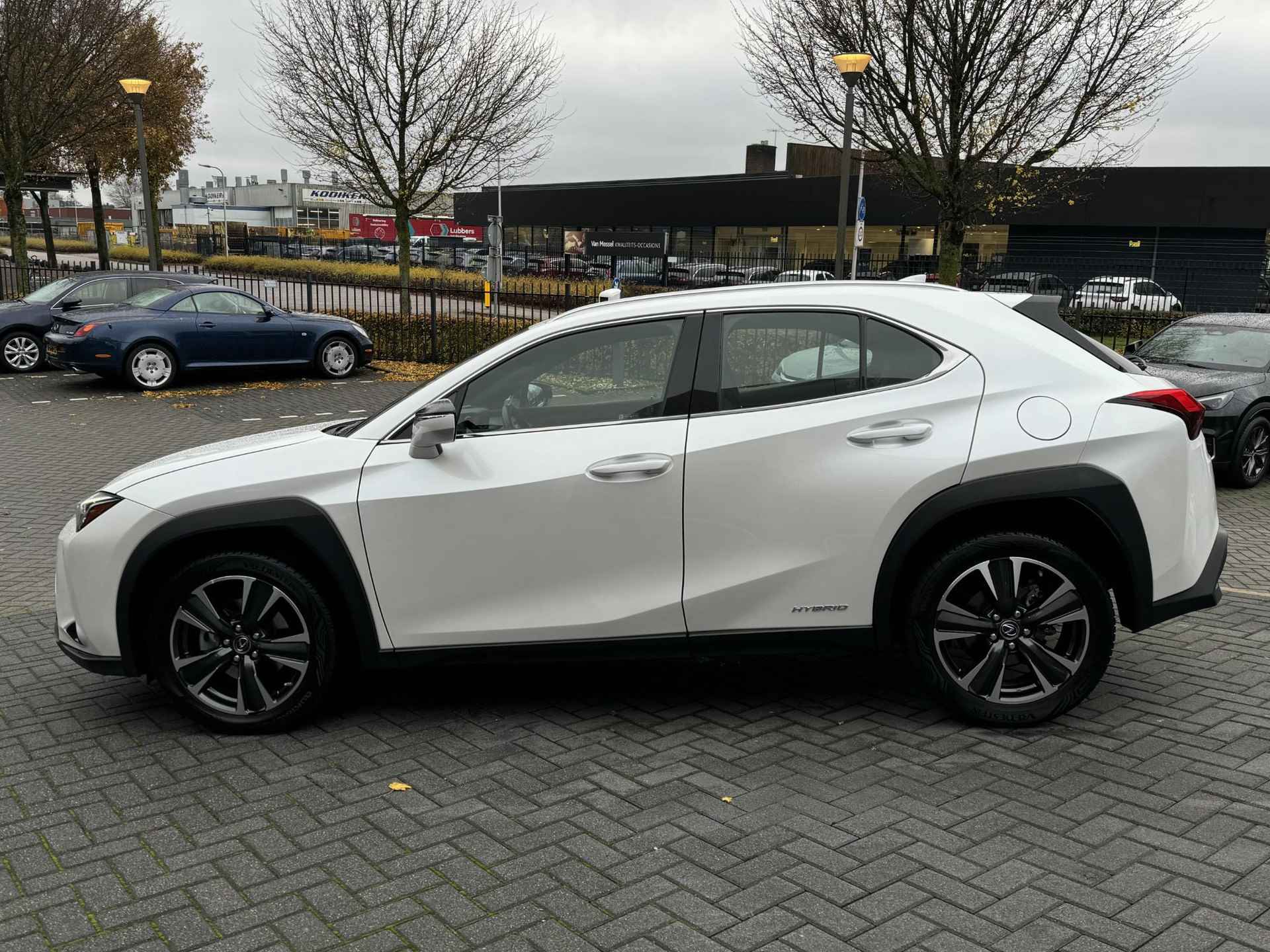 Lexus UX 250h Business Line 18" LM-VELGEN ALL-SEASON KEY-LESS NAVI AD-CRUISE APPLE/ANDROID - 6/36