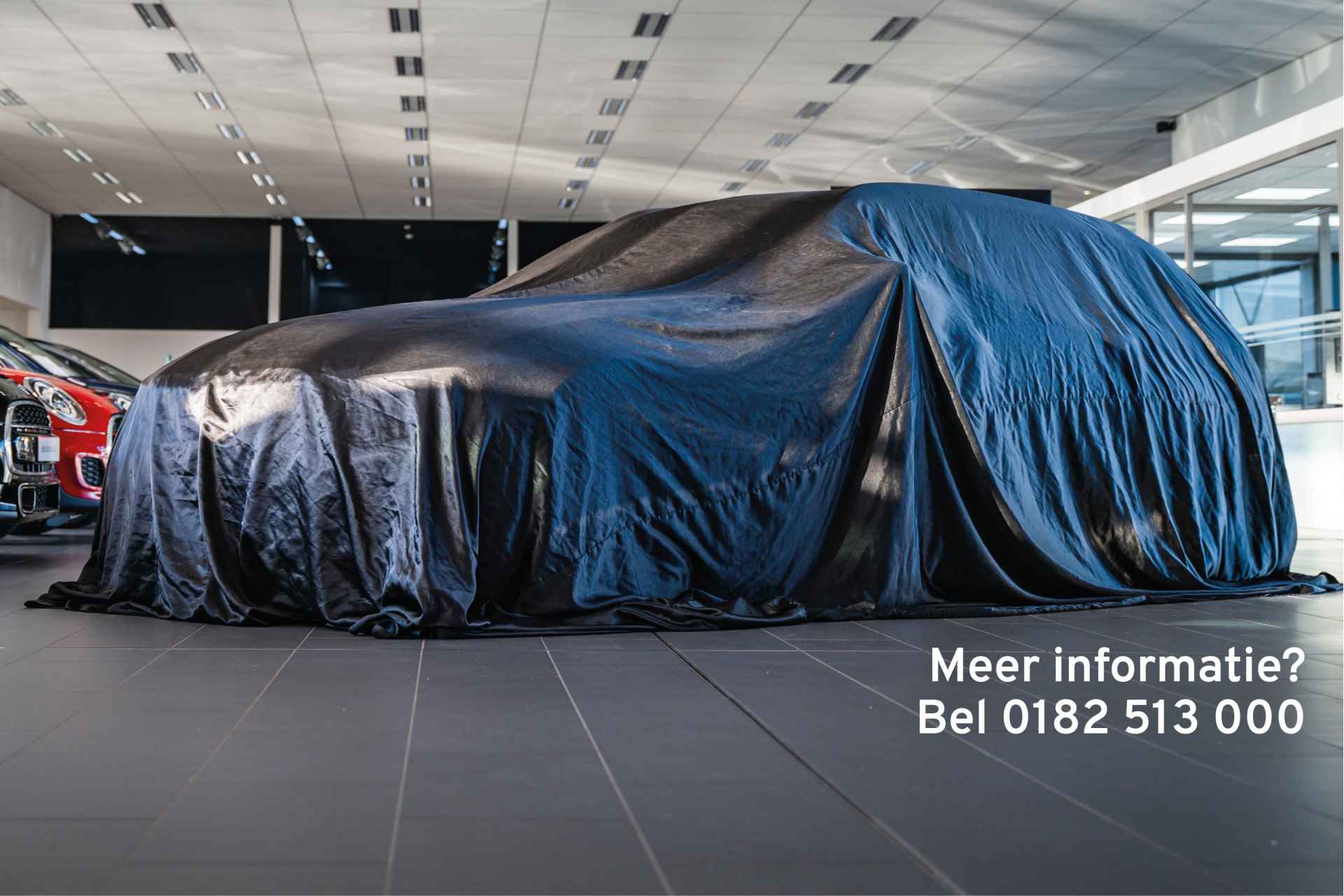 BMW X2 sDrive20i Launch Edition M Sportpakket Pro Aut. - 10/13