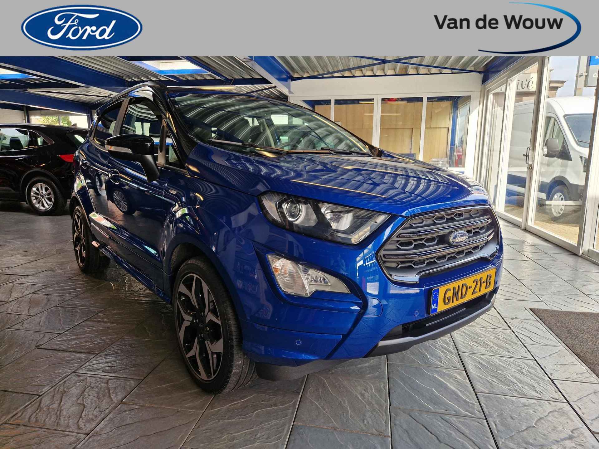 Ford EcoSport BOVAG 40-Puntencheck