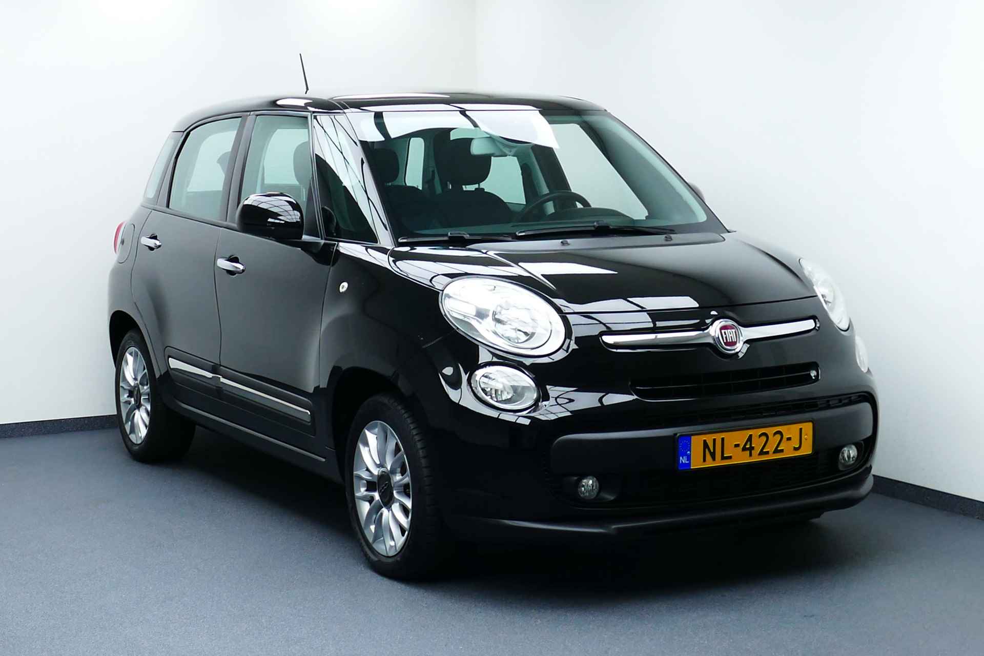 Fiat 500L BOVAG 40-Puntencheck