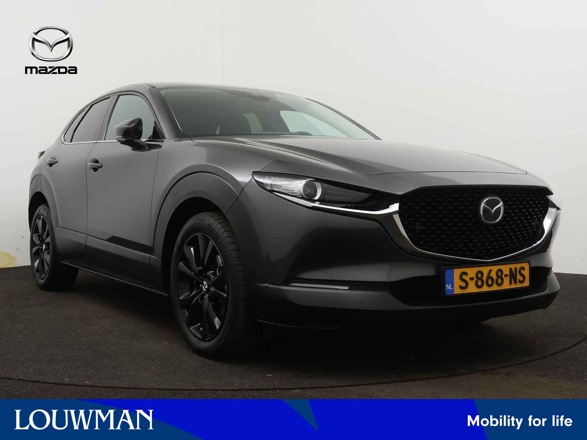 Mazda CX-30 BOVAG 40-Puntencheck