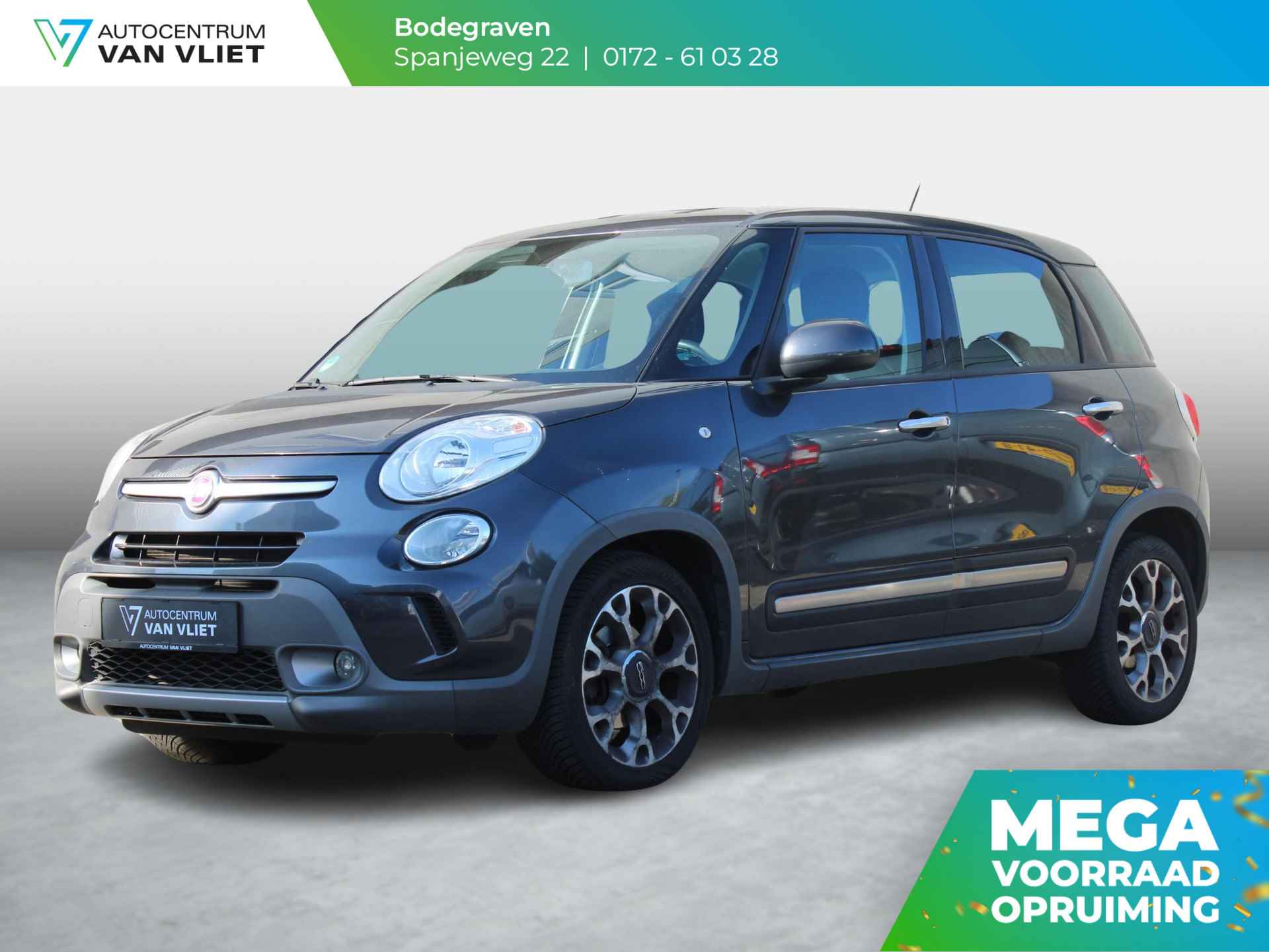 Fiat 500L BOVAG 40-Puntencheck