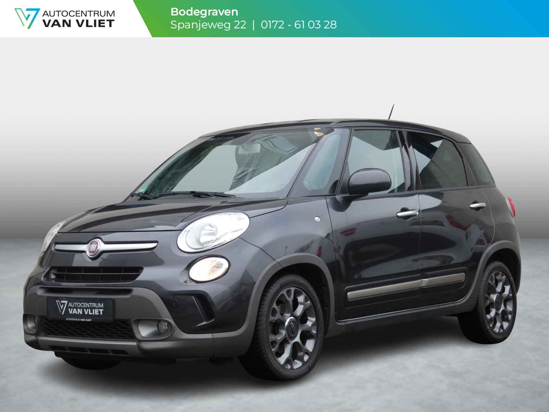 Fiat 500L BOVAG 40-Puntencheck