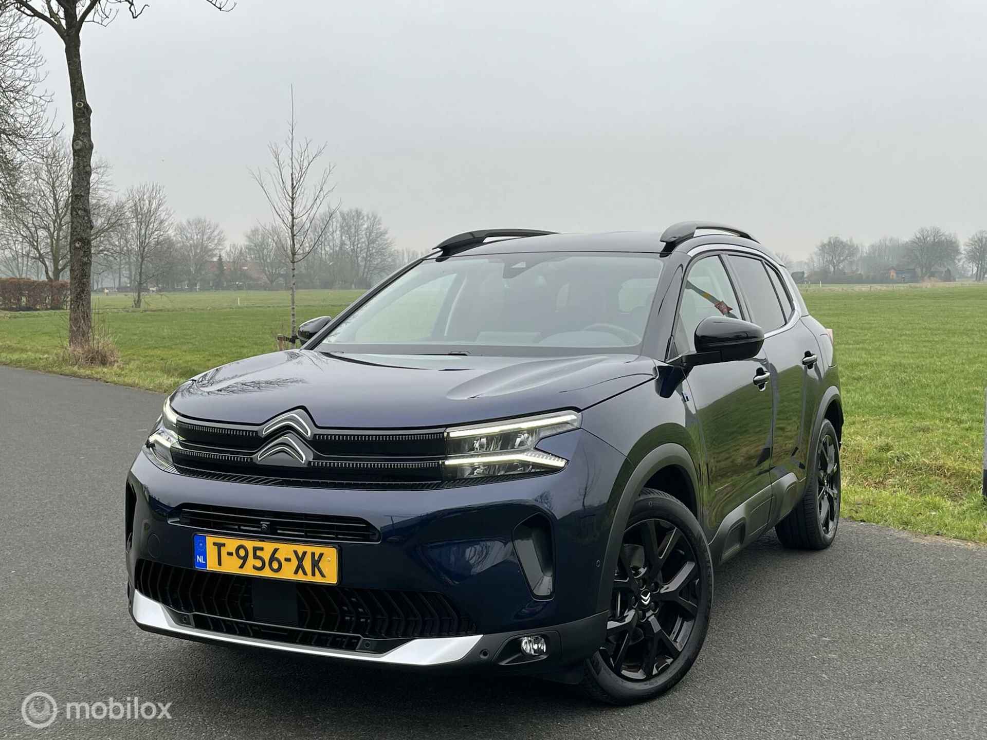 Citroen C5 Aircross 225pk Shine - 6/50