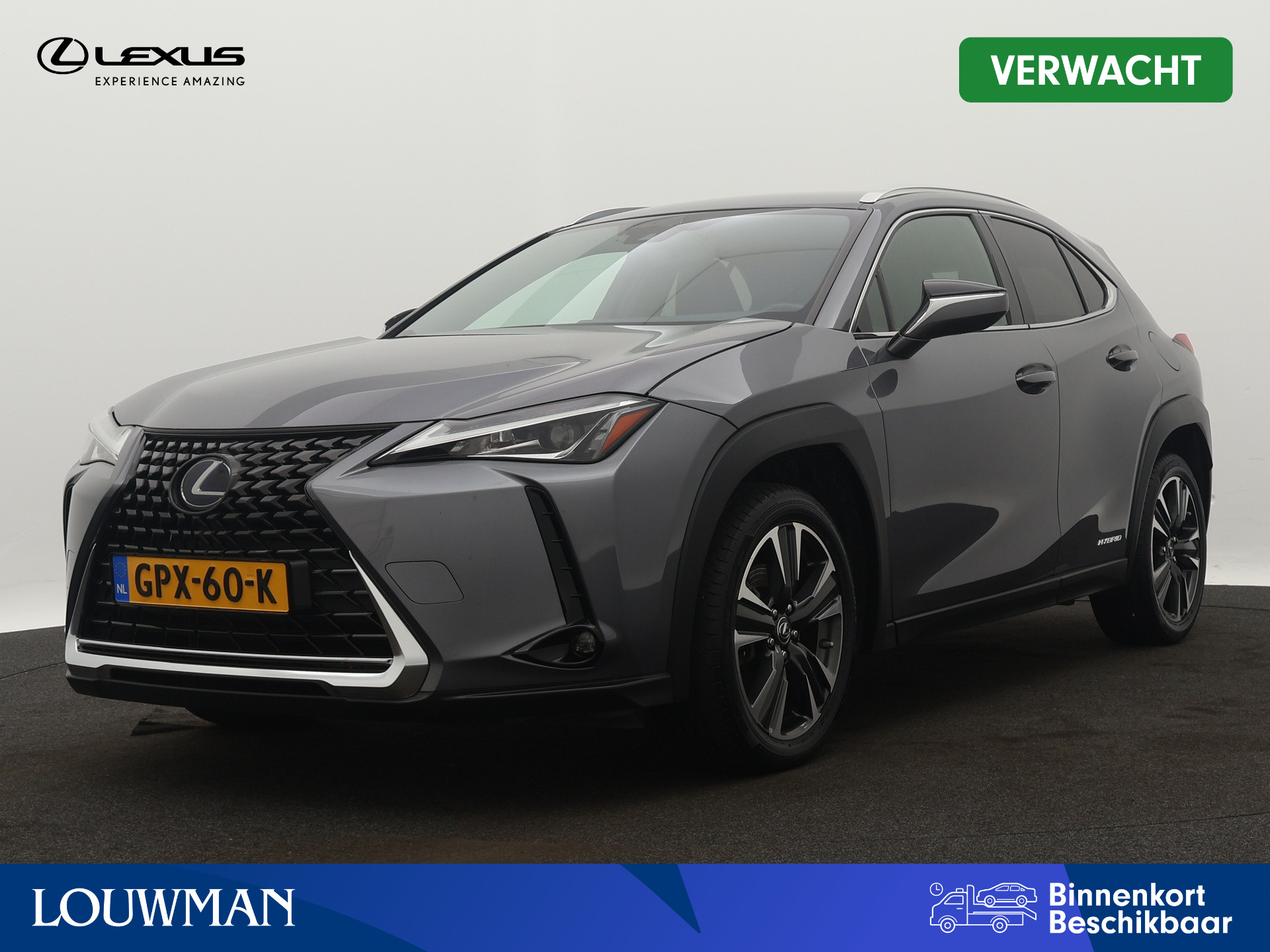 Lexus UX 250h AWD Business Line Limited | Navigatie | LM velgen | Camera |