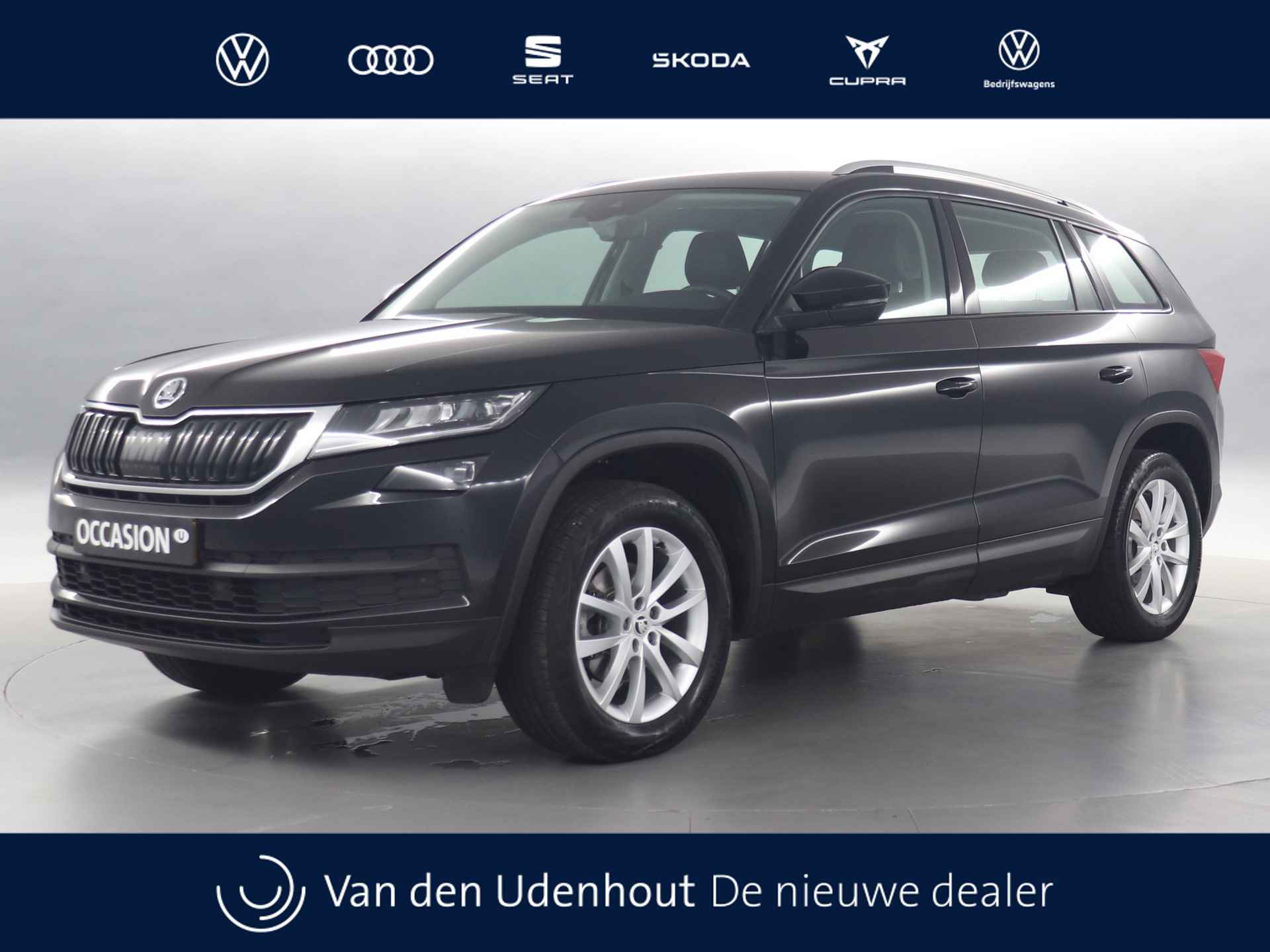 Škoda Kodiaq BOVAG 40-Puntencheck