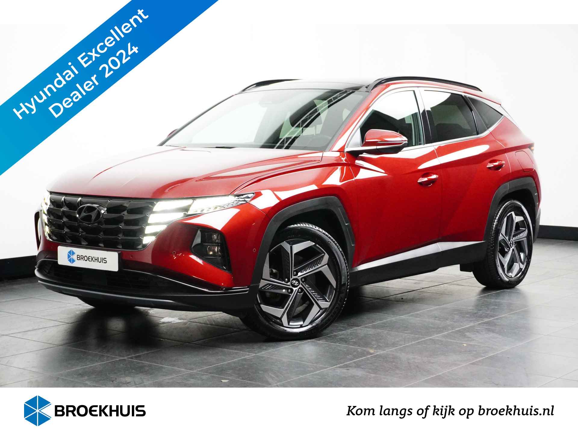 Hyundai Tucson BOVAG 40-Puntencheck