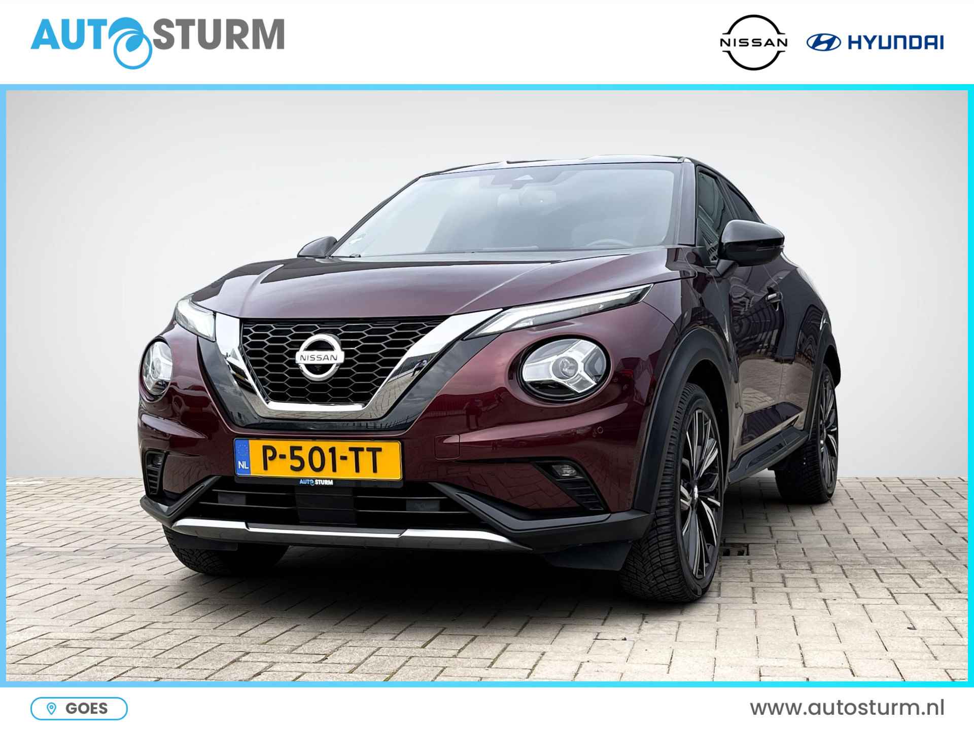 Nissan Juke BOVAG 40-Puntencheck