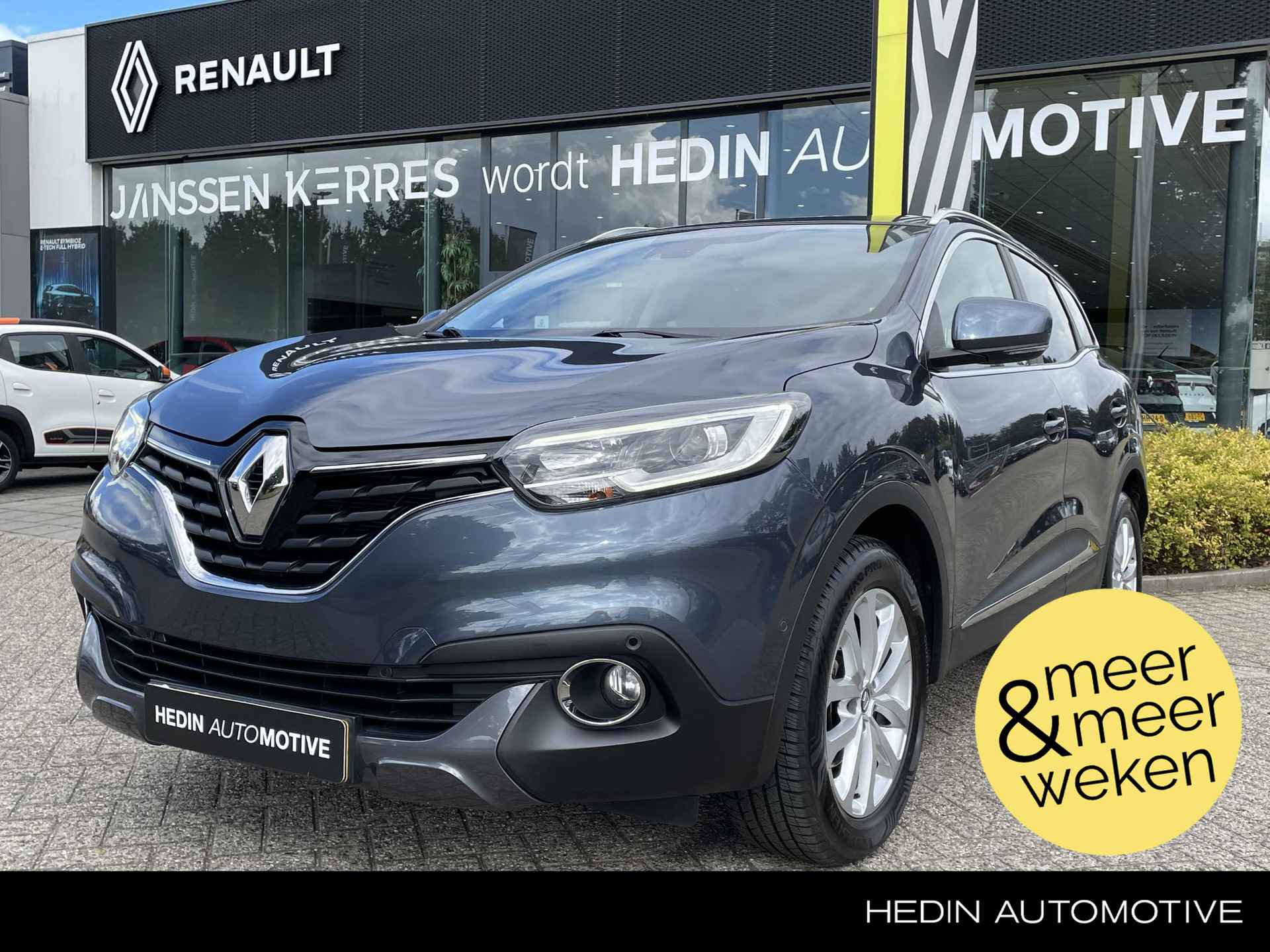 Renault Kadjar BOVAG 40-Puntencheck