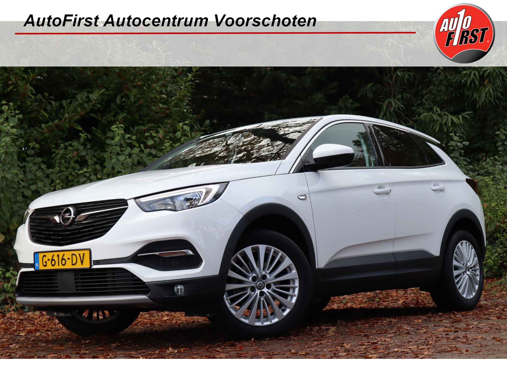 Opel Grandland X BOVAG 40-Puntencheck