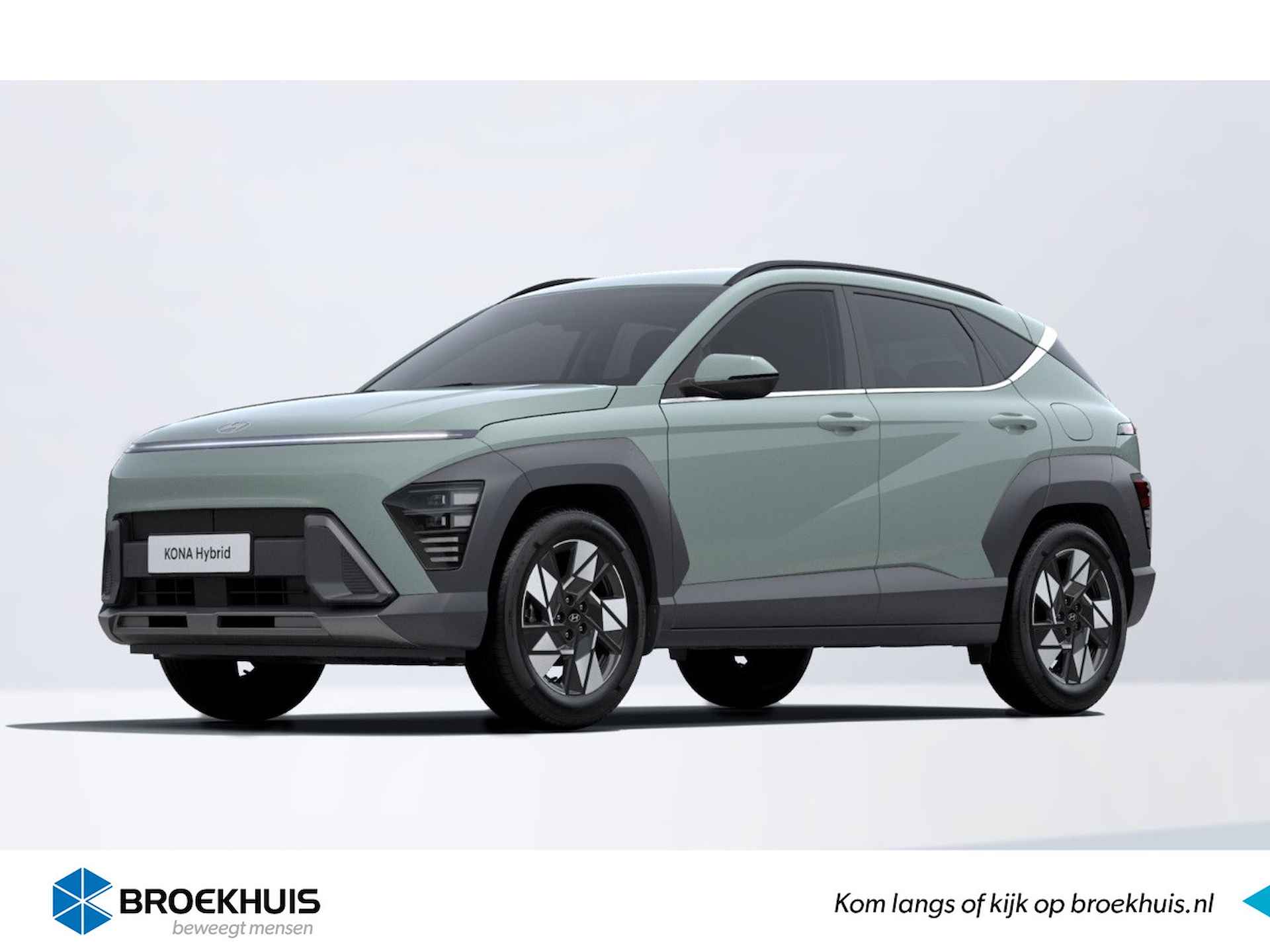 Hyundai Kona BOVAG 40-Puntencheck