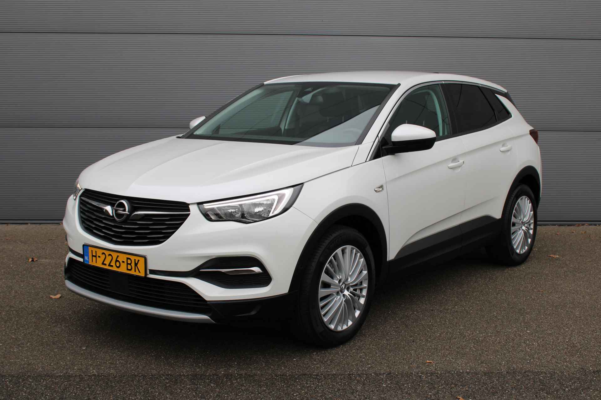 Opel Grandland X BOVAG 40-Puntencheck