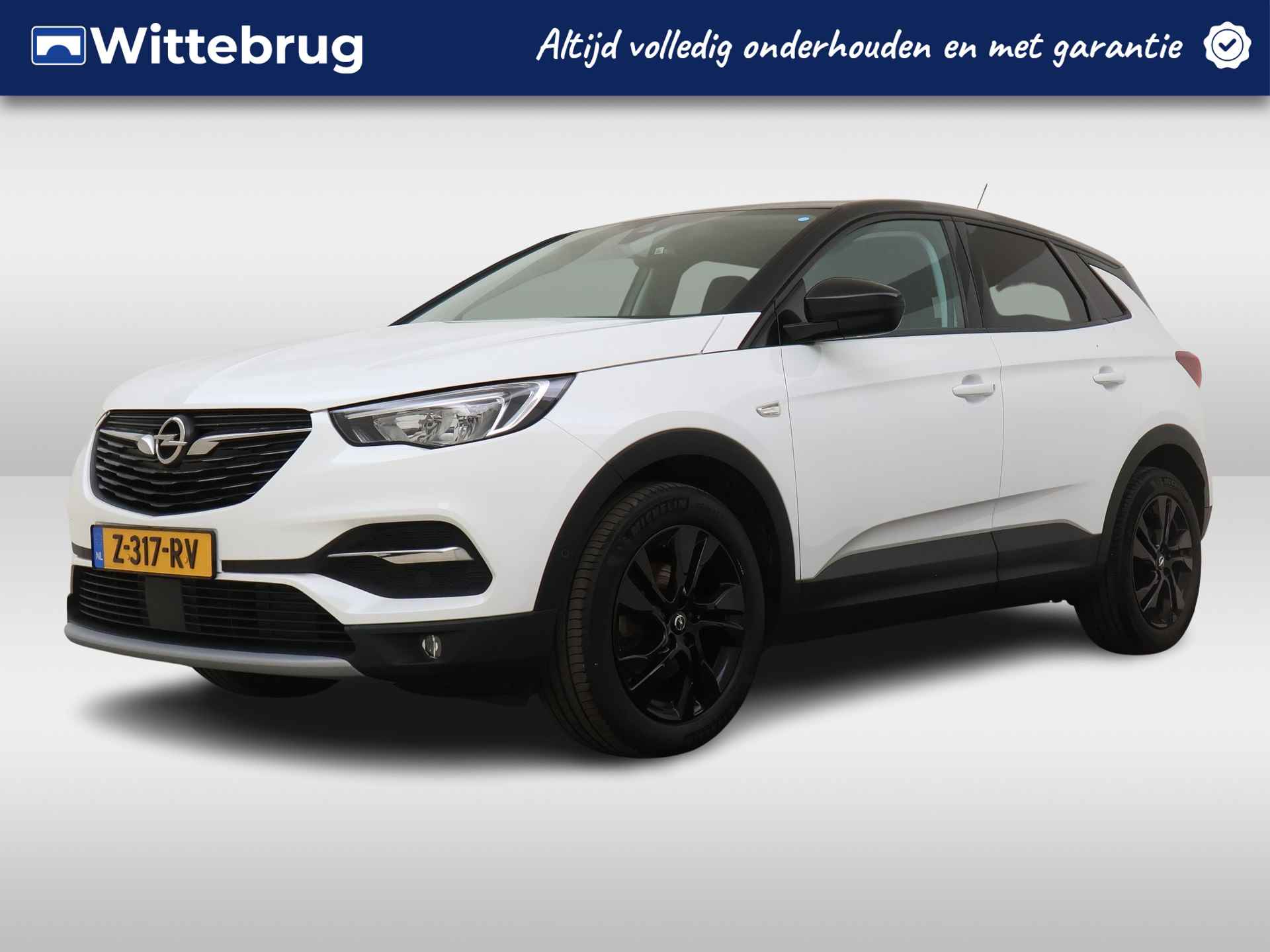 Opel Grandland X BOVAG 40-Puntencheck