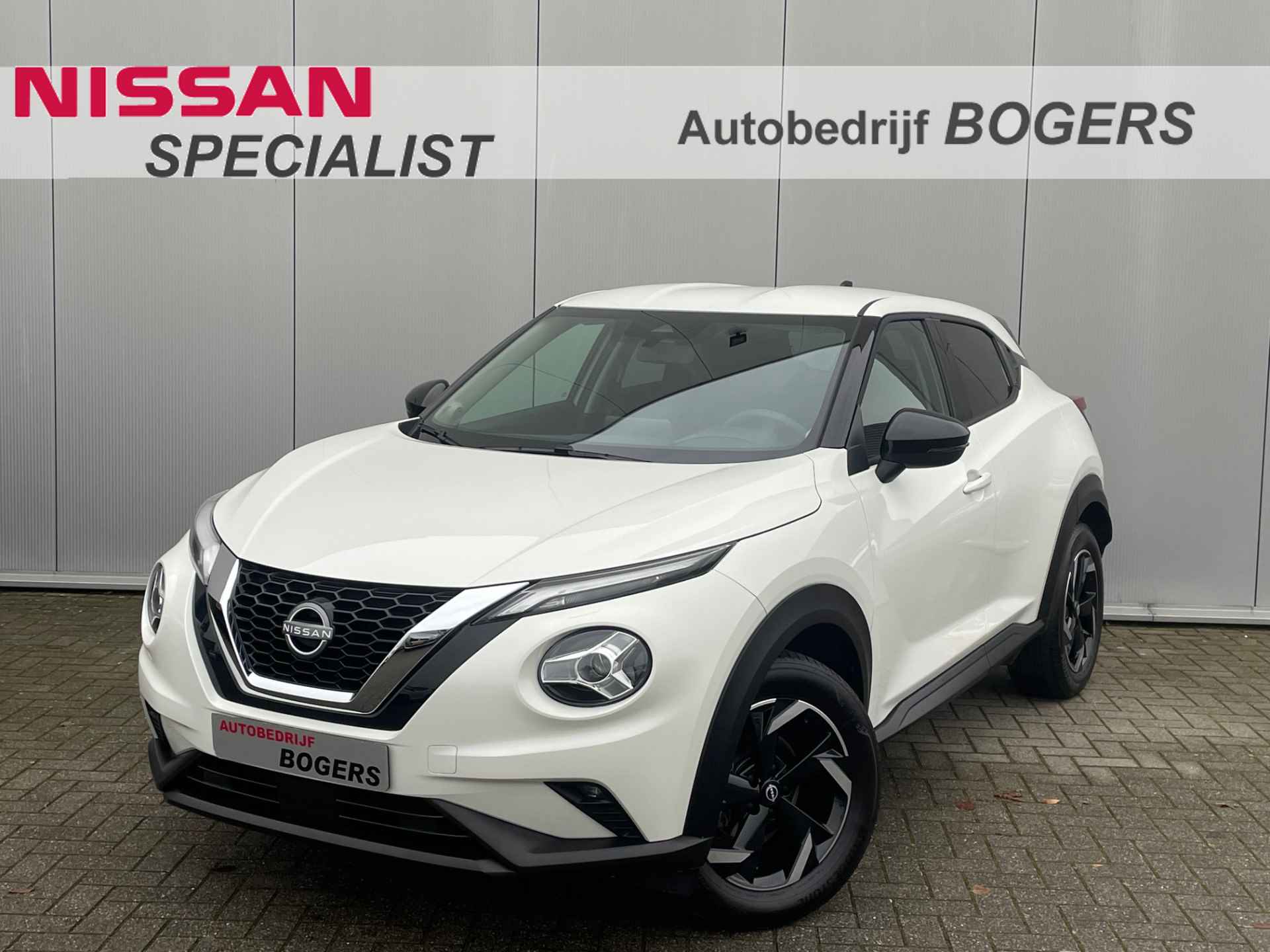 Nissan Juke BOVAG 40-Puntencheck