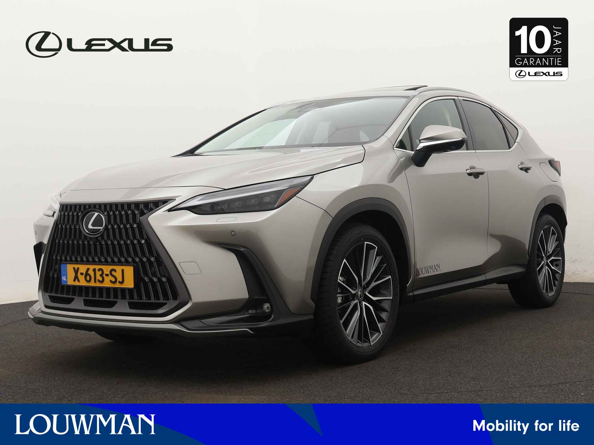 Lexus NX BOVAG 40-Puntencheck