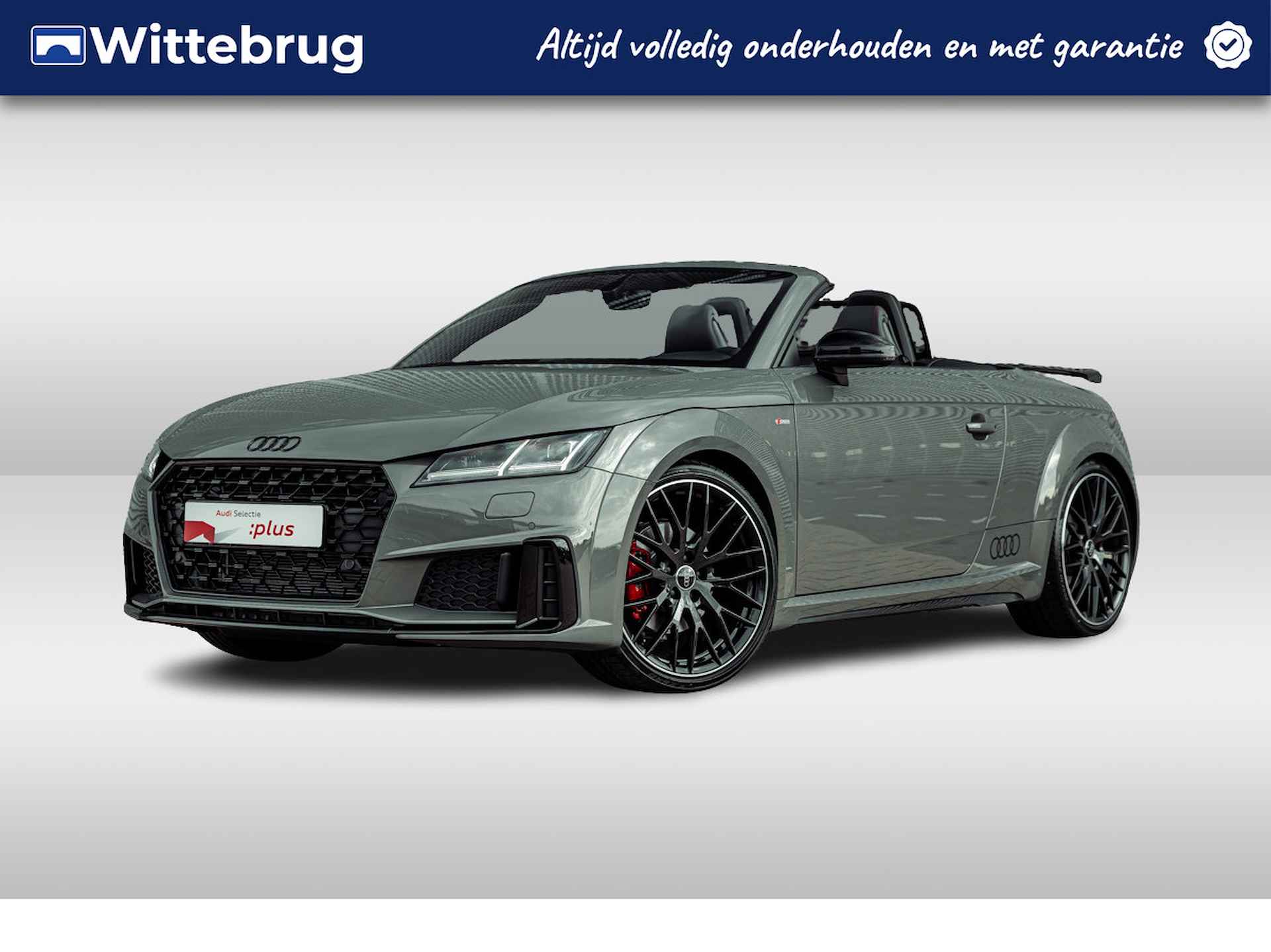 Audi TT BOVAG 40-Puntencheck