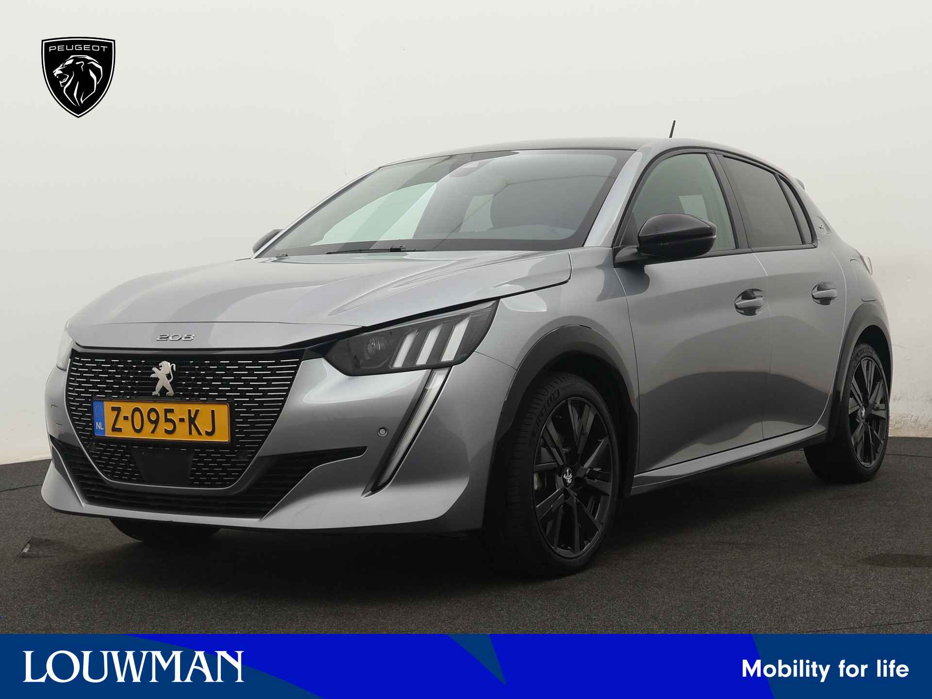 Peugeot 208 BOVAG 40-Puntencheck