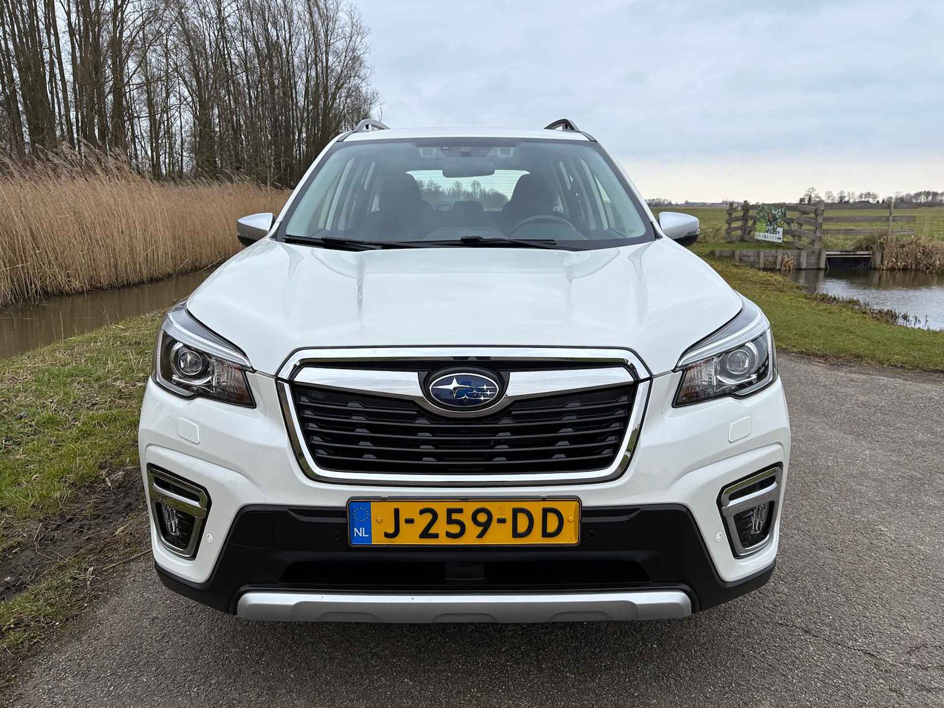 Subaru Forester 2.0i e-BOXER 150pk 4WD CVT Comfort | Apple carplay / ANdroid auto | Afn. trekhaak | Camera | Stoelverwarming | Cruise control | NAP | Rijklaar prijs! - 4/25