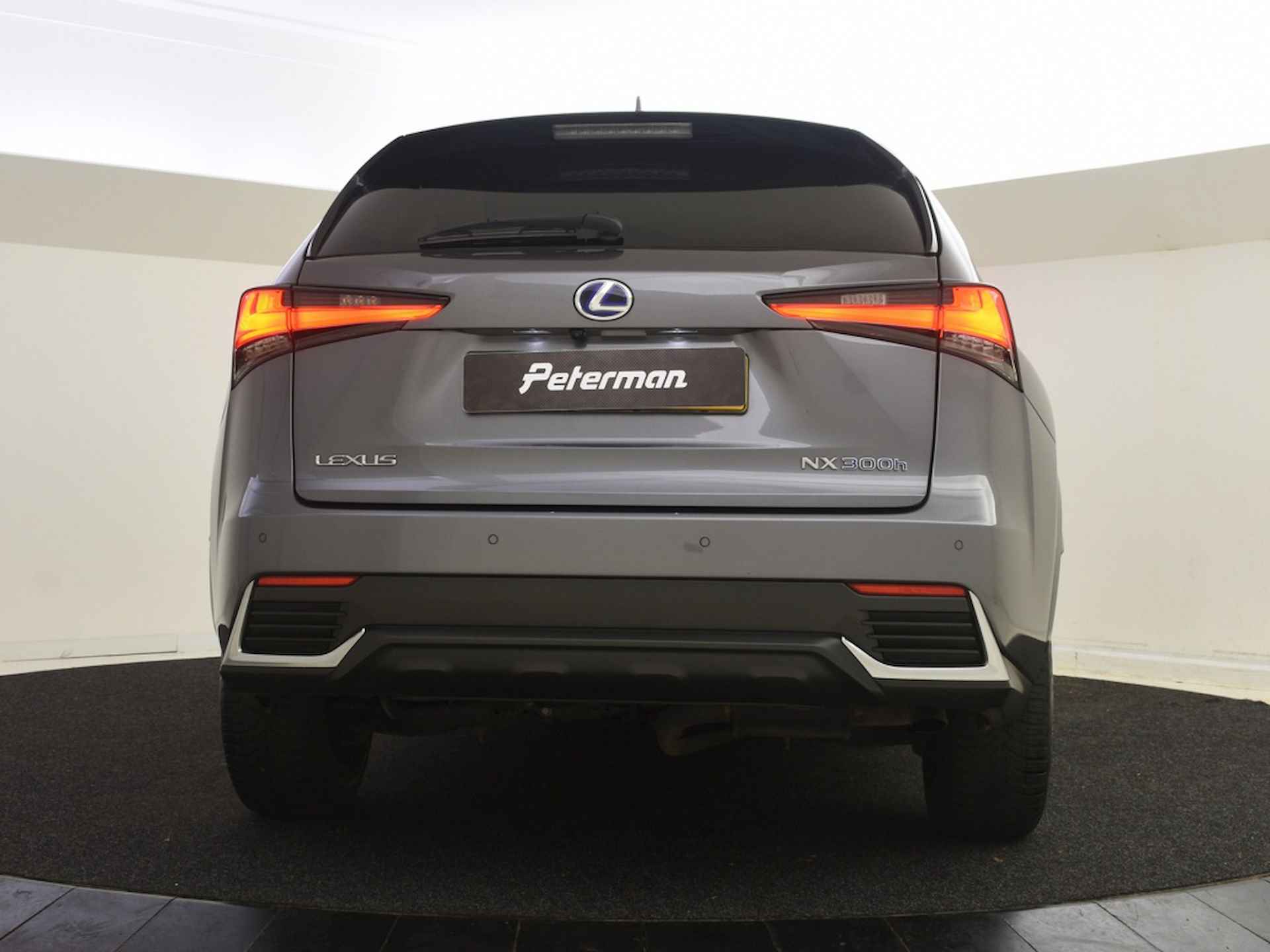 Lexus NX  NX 300h Style Edition | PDC V+A | Stoelverwarming | BLS | Naviga - 10/31