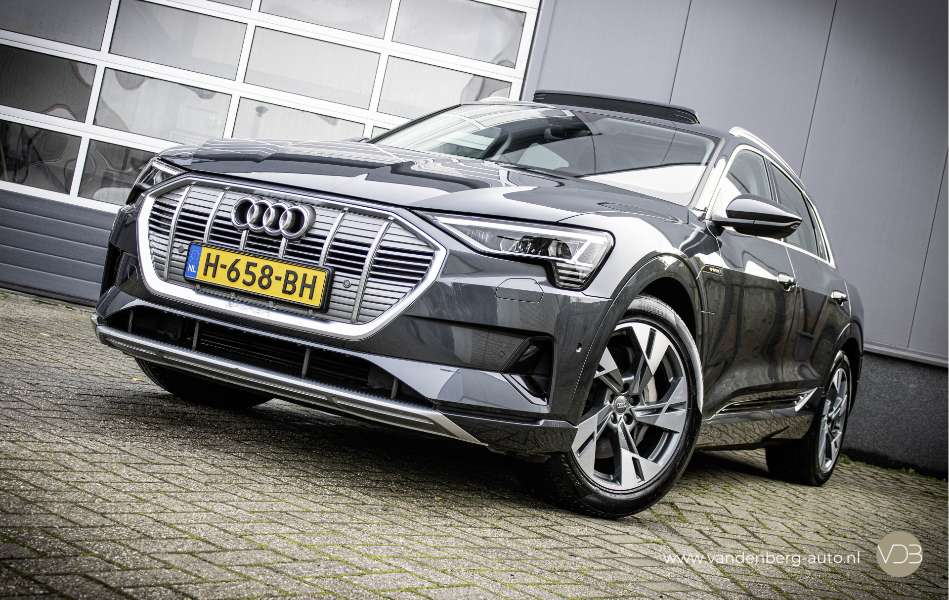 Audi e-tron 50 Quattro Launch edition LEER PANO Origineel NL