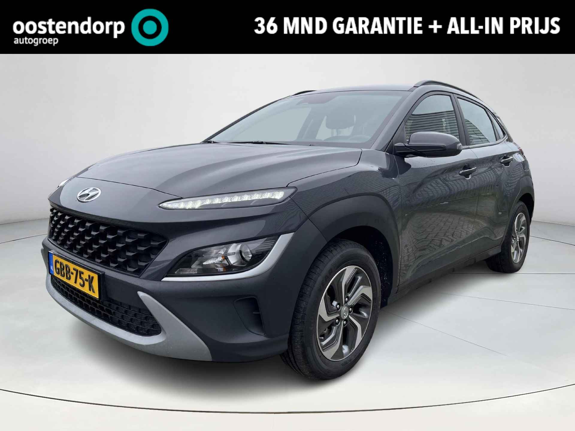 Hyundai Kona BOVAG 40-Puntencheck