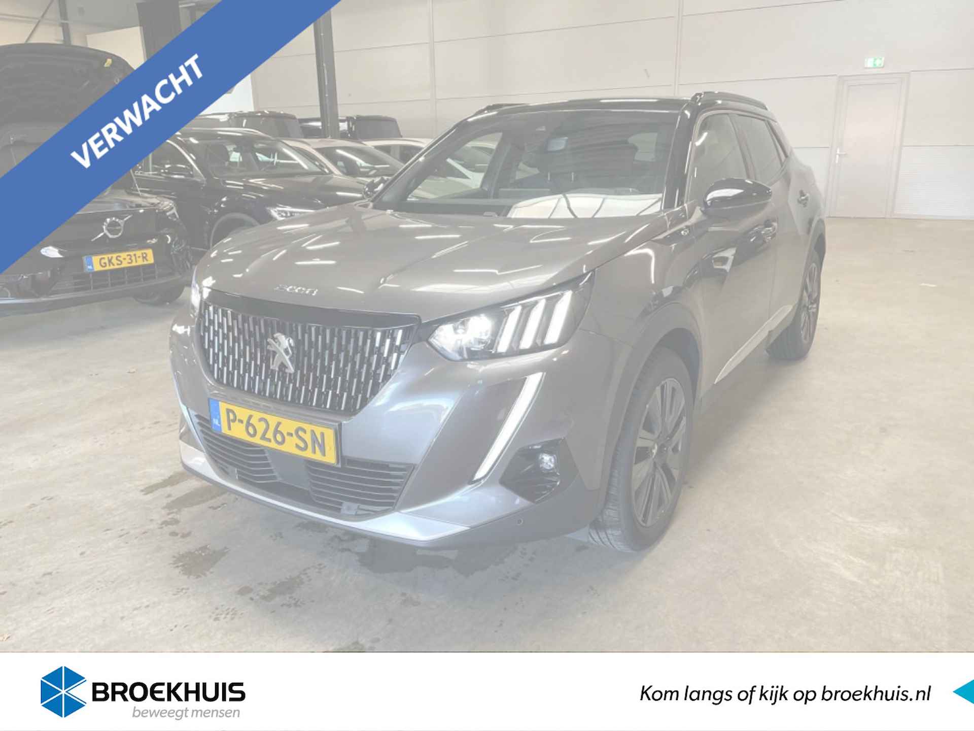 Peugeot 2008 BOVAG 40-Puntencheck