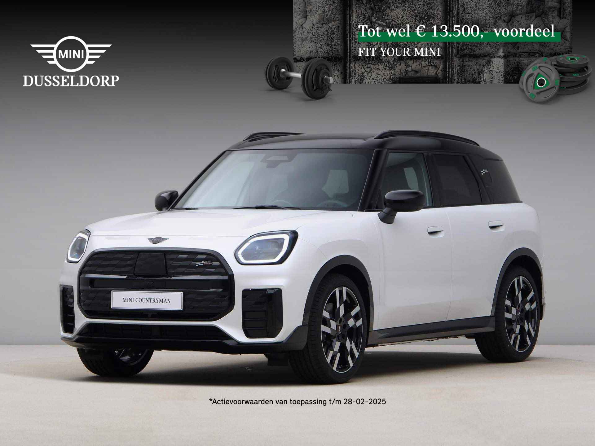 Mini Countryman