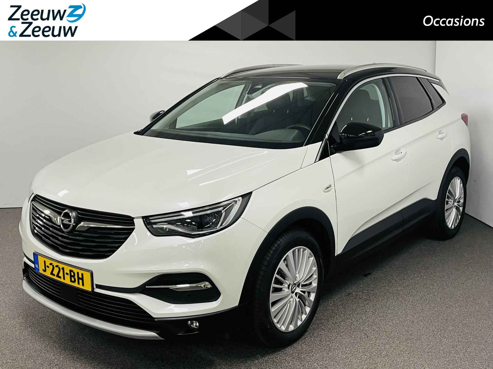 Opel Grandland X BOVAG 40-Puntencheck